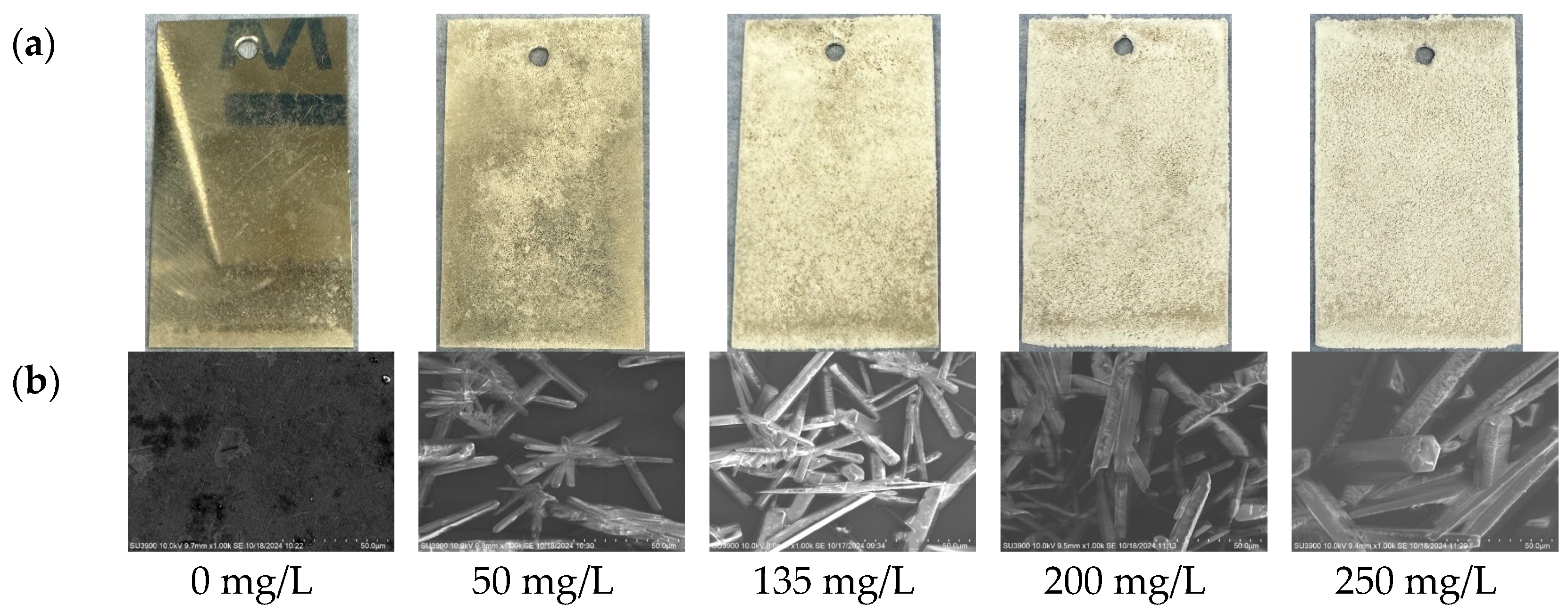 Energies 18 00946 g002