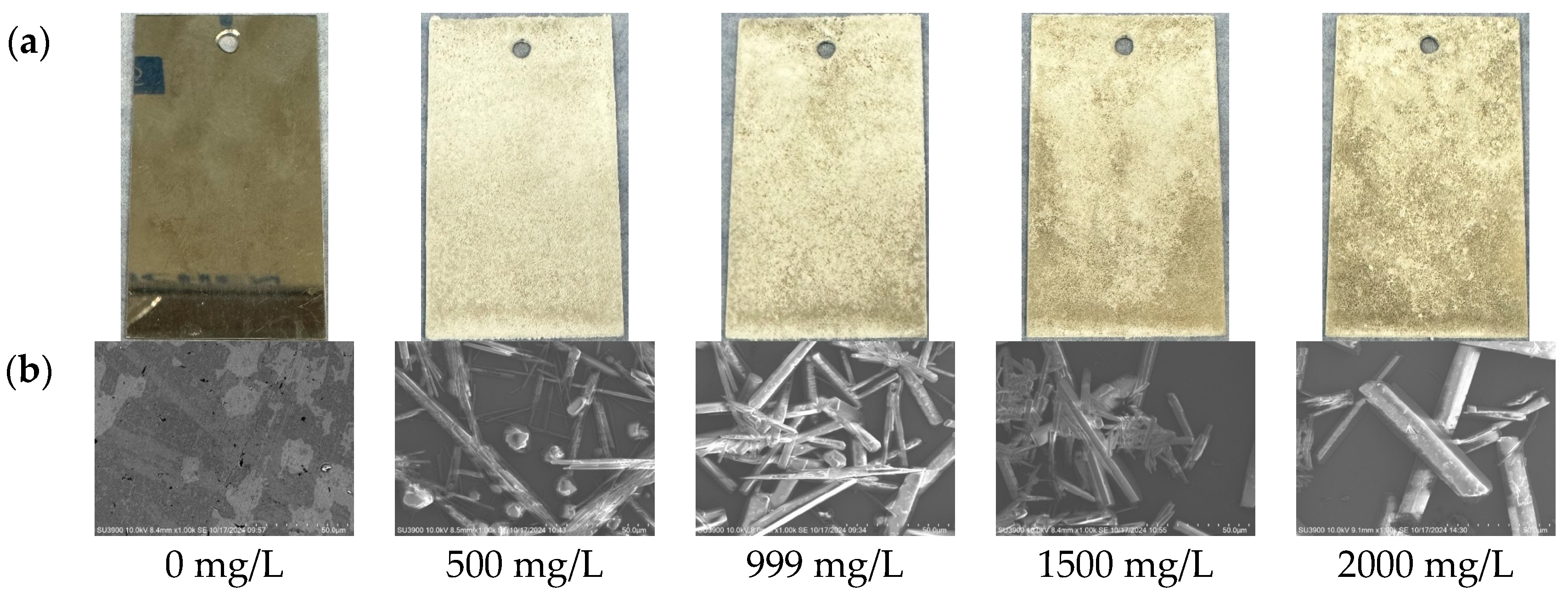 Energies 18 00946 g016