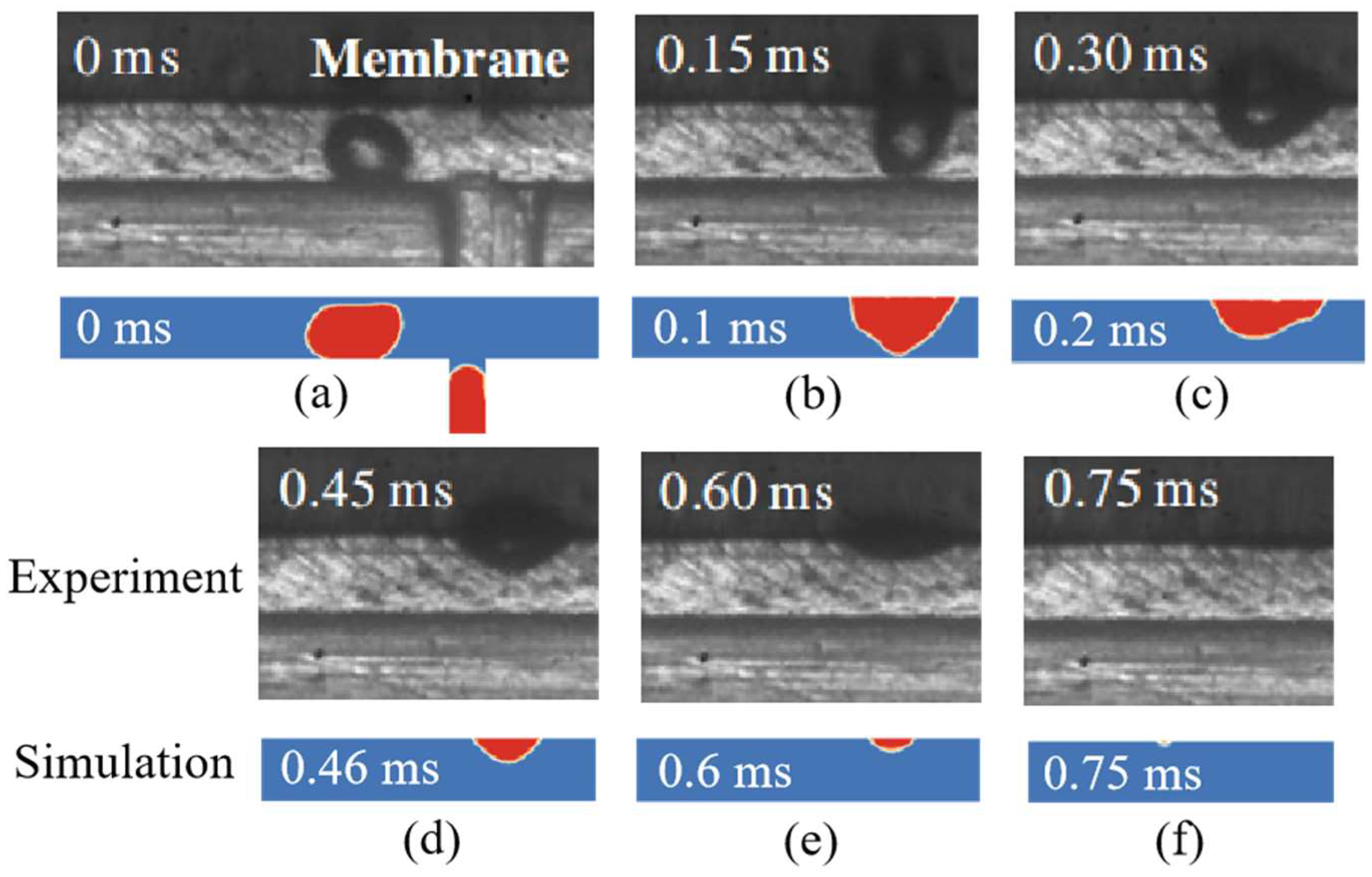 Energies 18 05156 g009 Energies 18 05156 g009