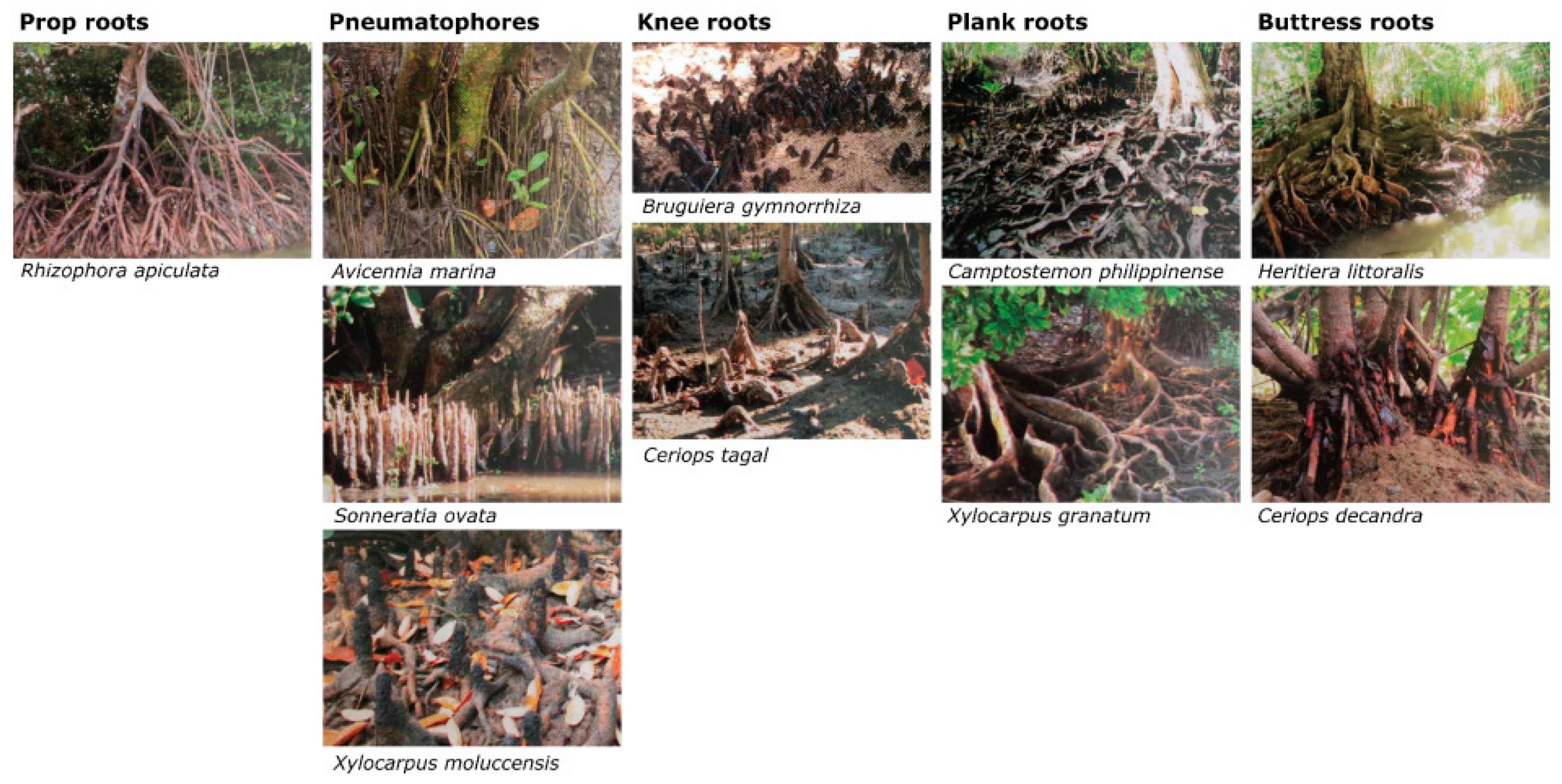 Eng 04 00055 g003 Eng 04 00055 g003