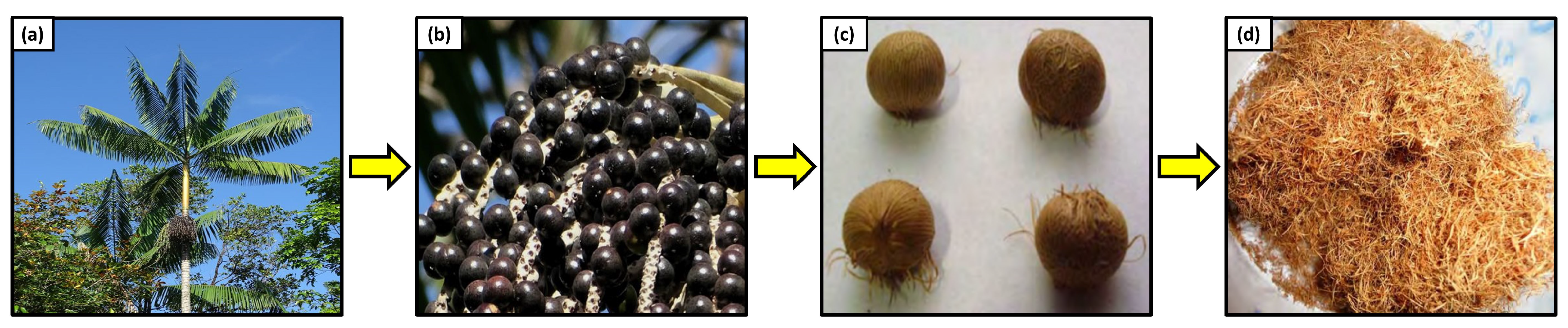 Eng 05 00009 g005 Eng 05 00009 g005