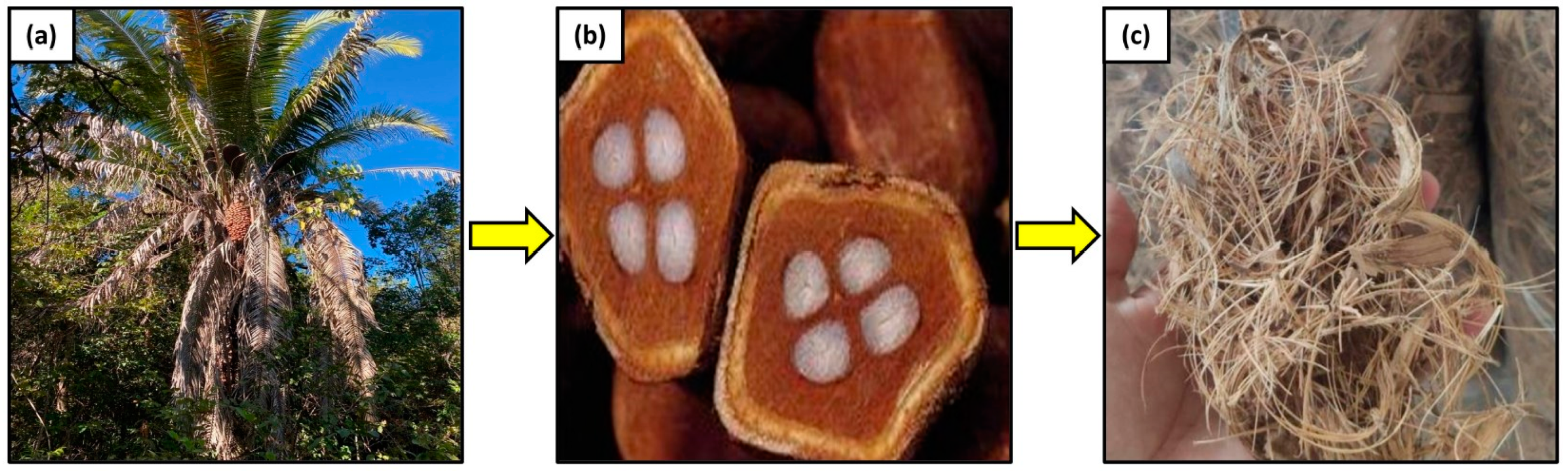 Eng 05 00009 g007 Eng 05 00009 g007