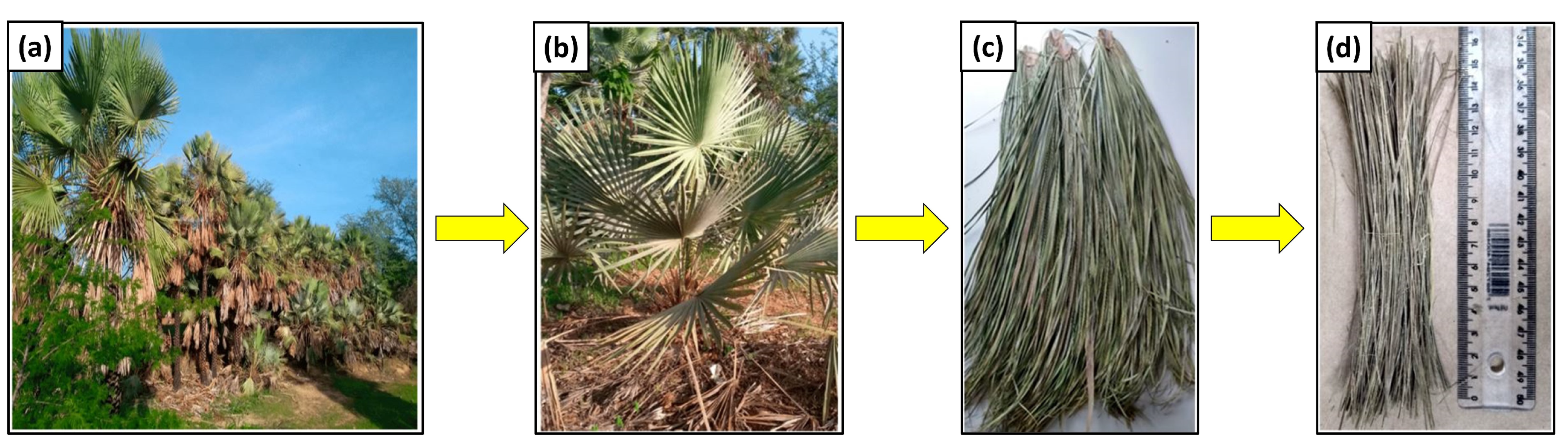 Eng 05 00009 g012 Eng 05 00009 g012