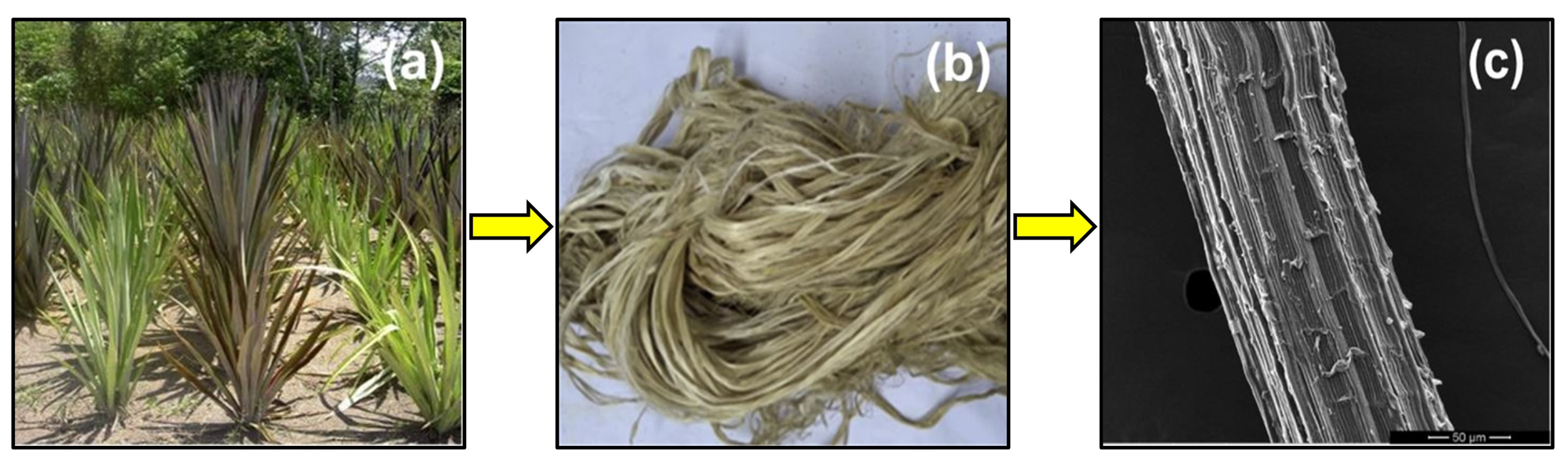 Eng 05 00009 g013 Eng 05 00009 g013