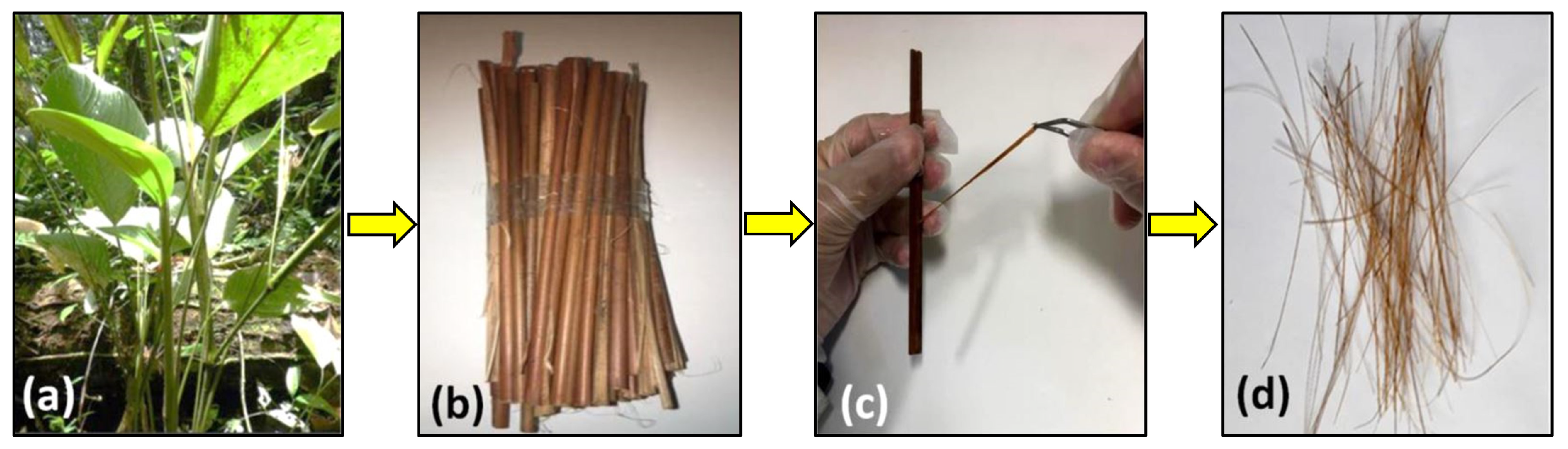 Eng 05 00009 g015 Eng 05 00009 g015