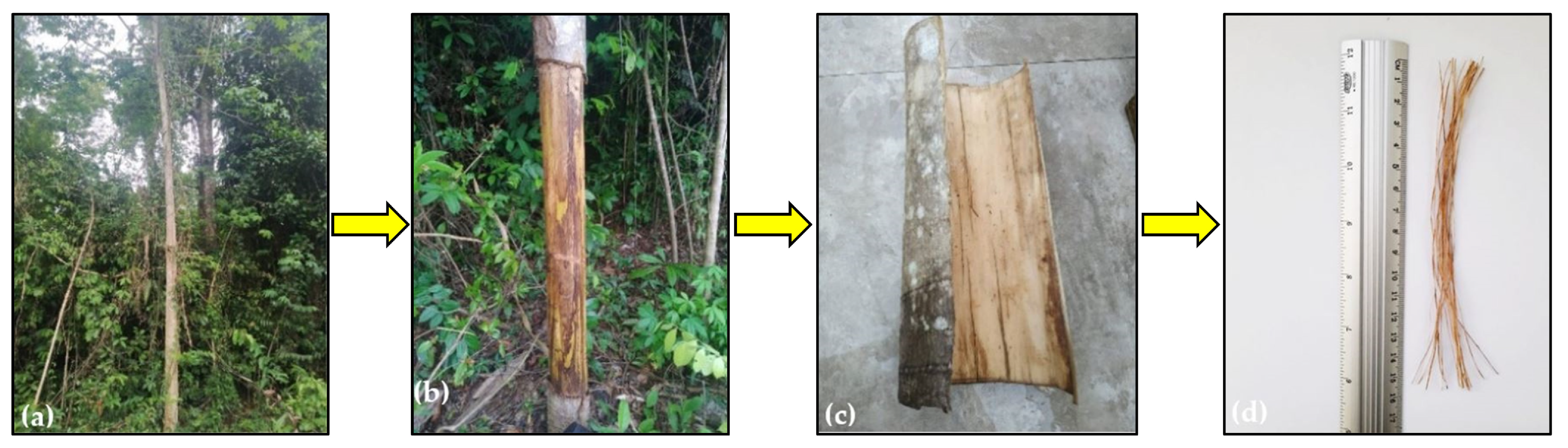 Eng 05 00009 g017 Eng 05 00009 g017