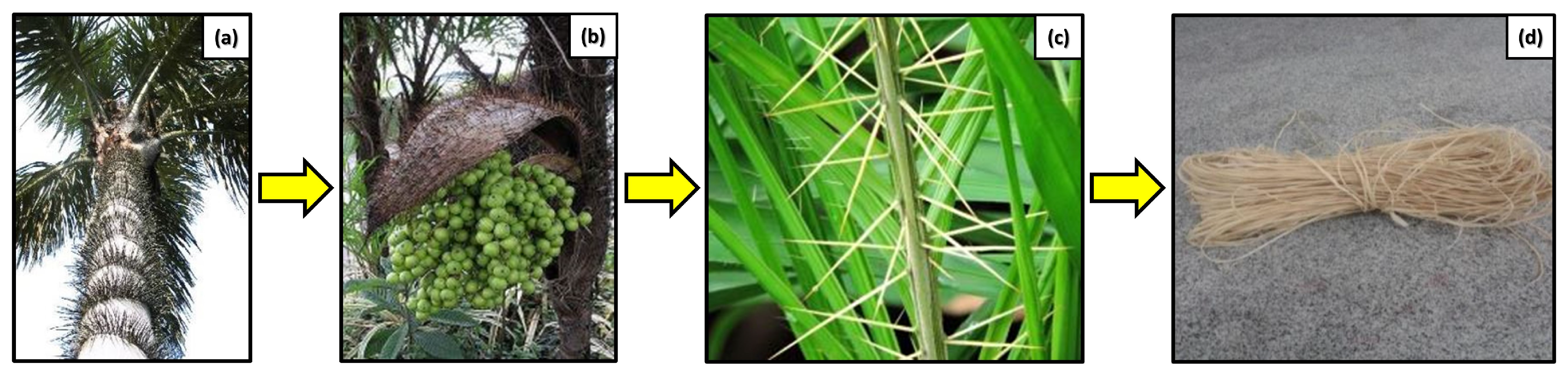 Eng 05 00009 g020 Eng 05 00009 g020