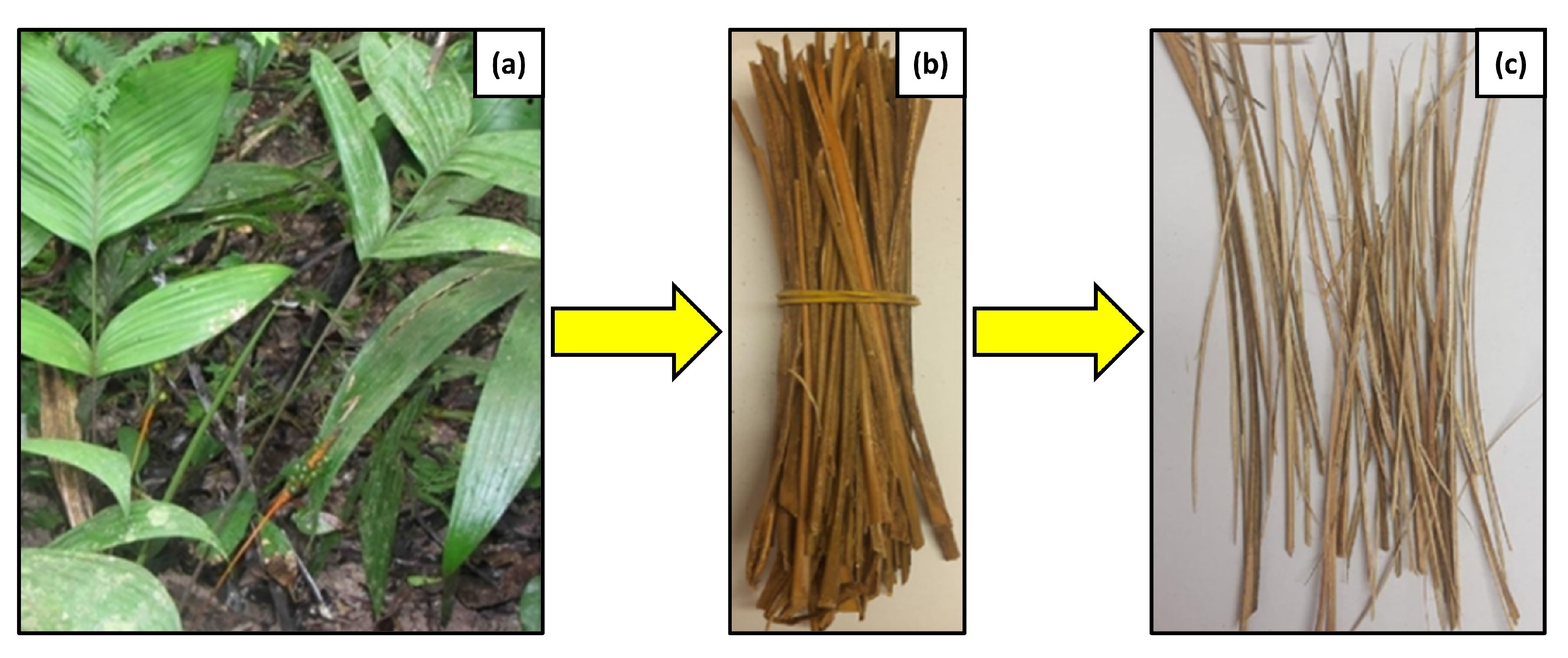 Eng 05 00009 g022 Eng 05 00009 g022