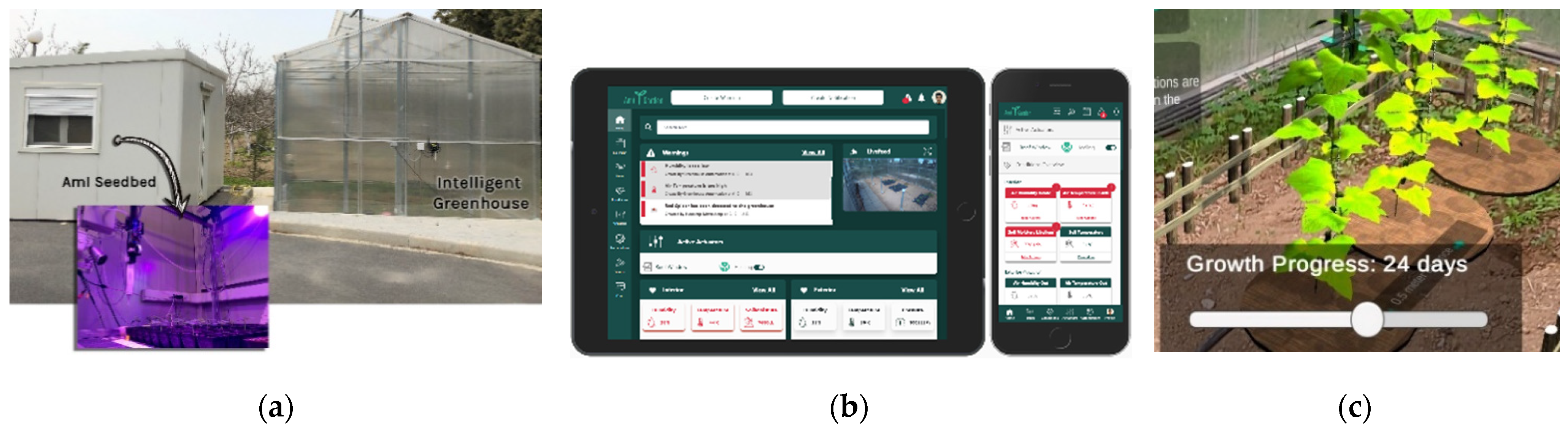 Engproc 09 00041 g001