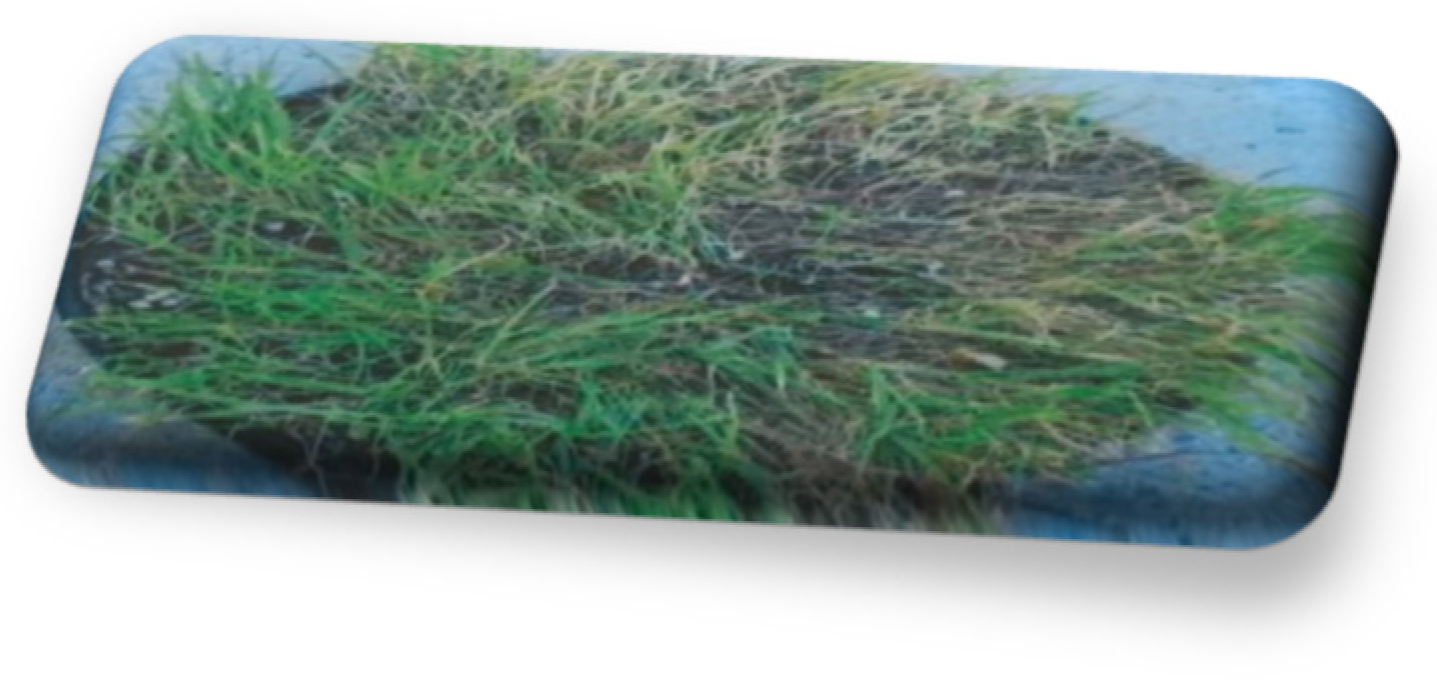 Static Grass 2,4,6mm CHOOSE LENGTH & CAN SIZE, Model Scenery Material