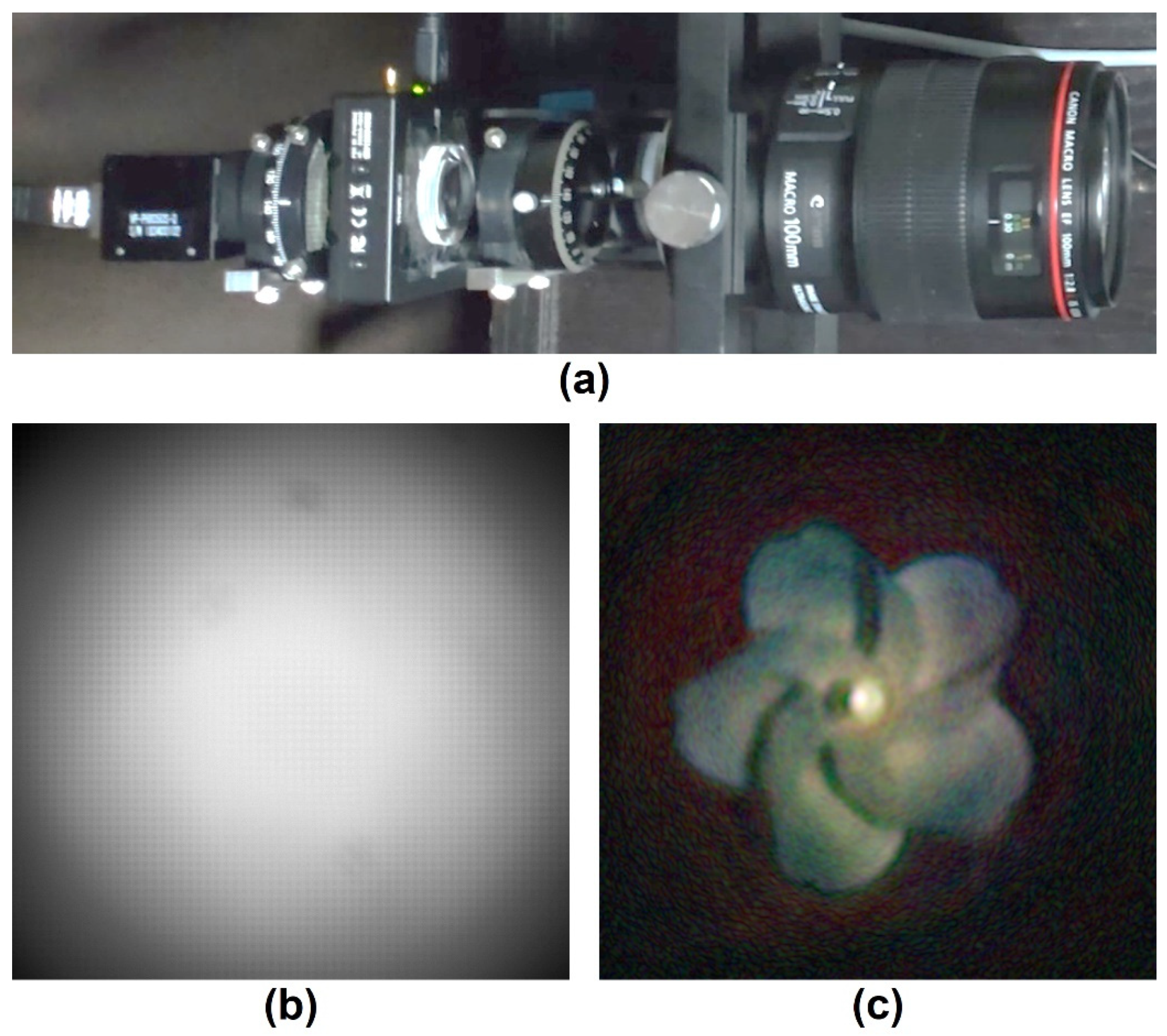 Engproc 34 00003 g002