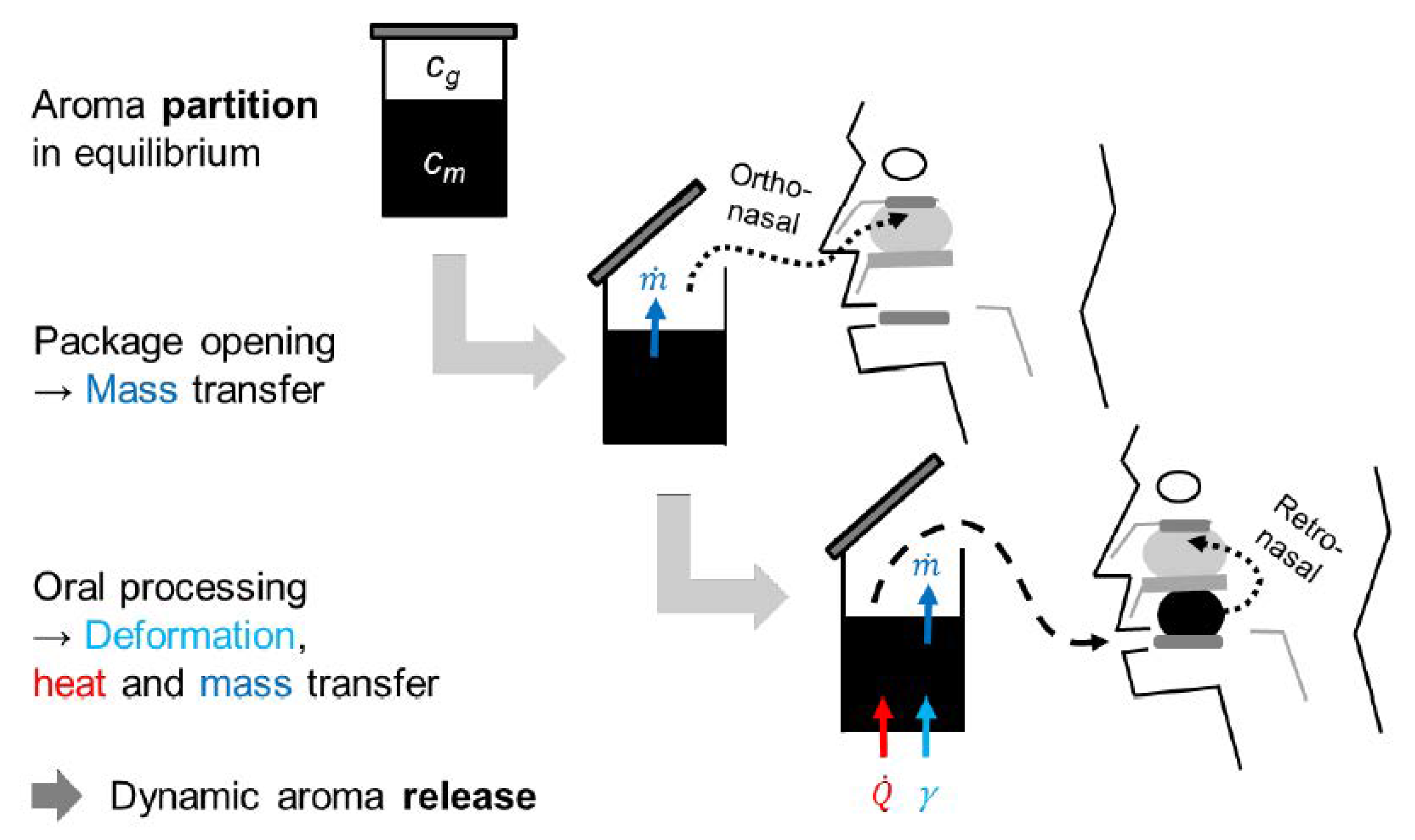 Engineering Proceedings Free FullText Prediction of Aroma