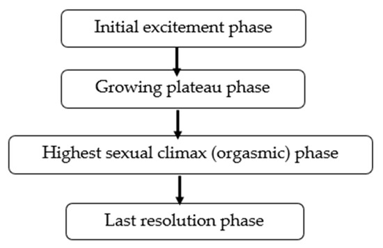 File:Phases of sexual arousal and female orgasm.png - Wikimedia Commons