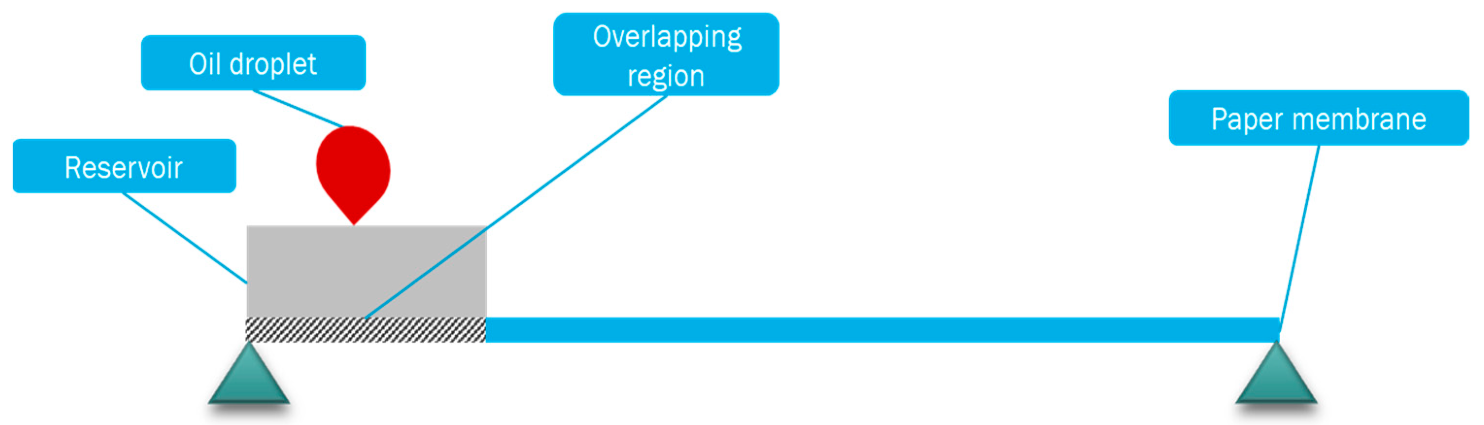 Engproc 45 00005 g001