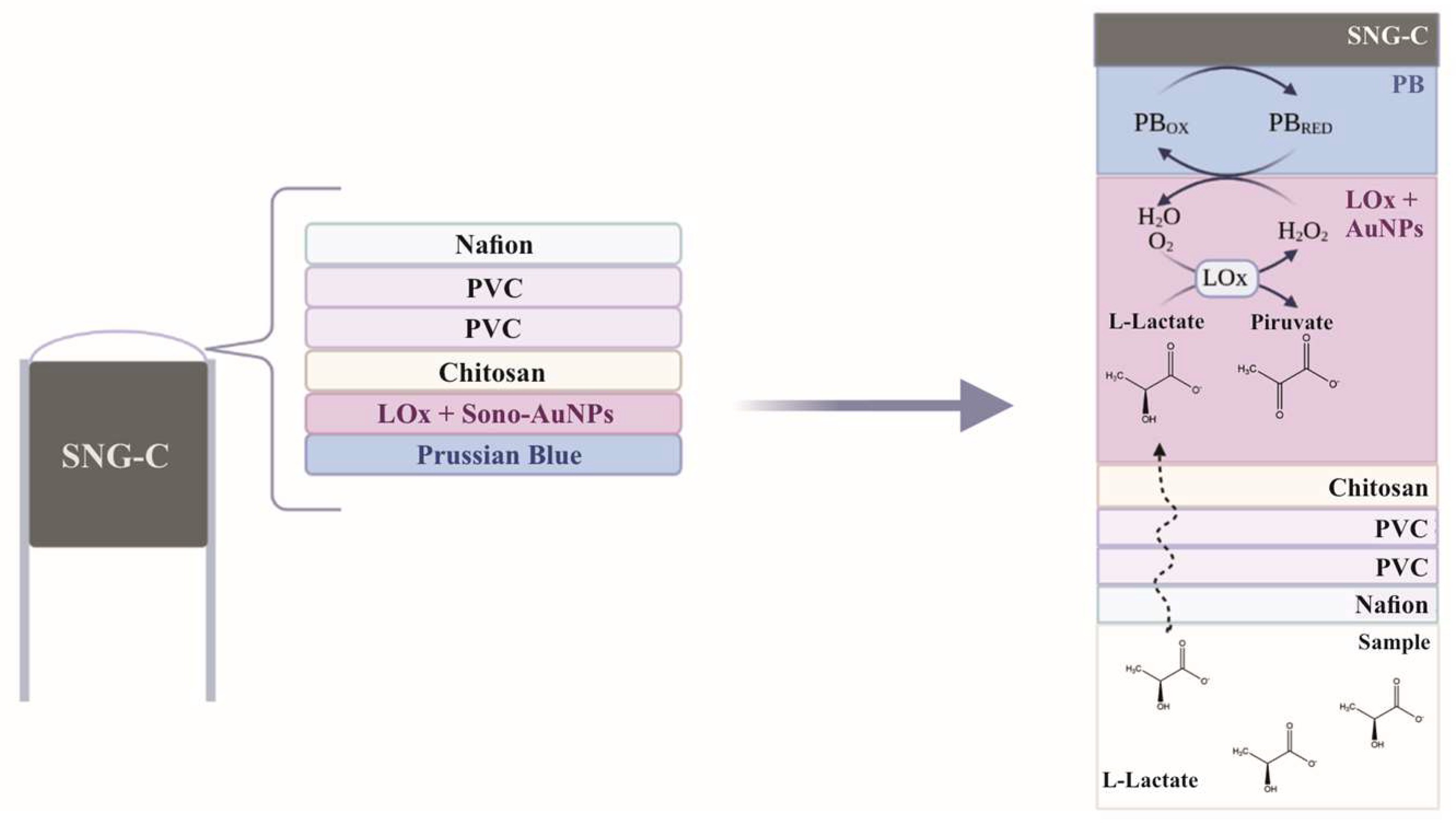 Engproc 48 00048 g002