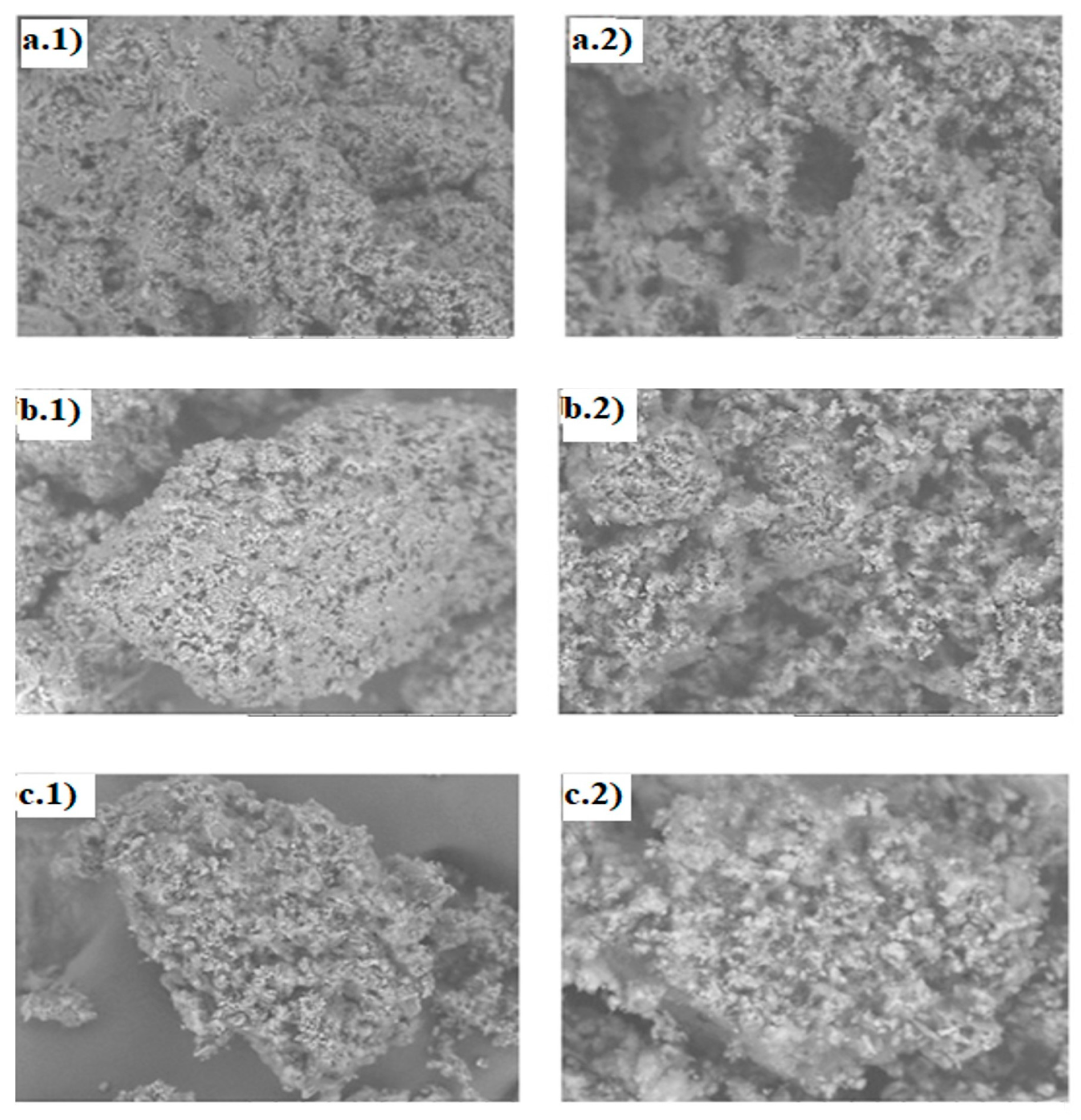 Engproc 56 00155 g002