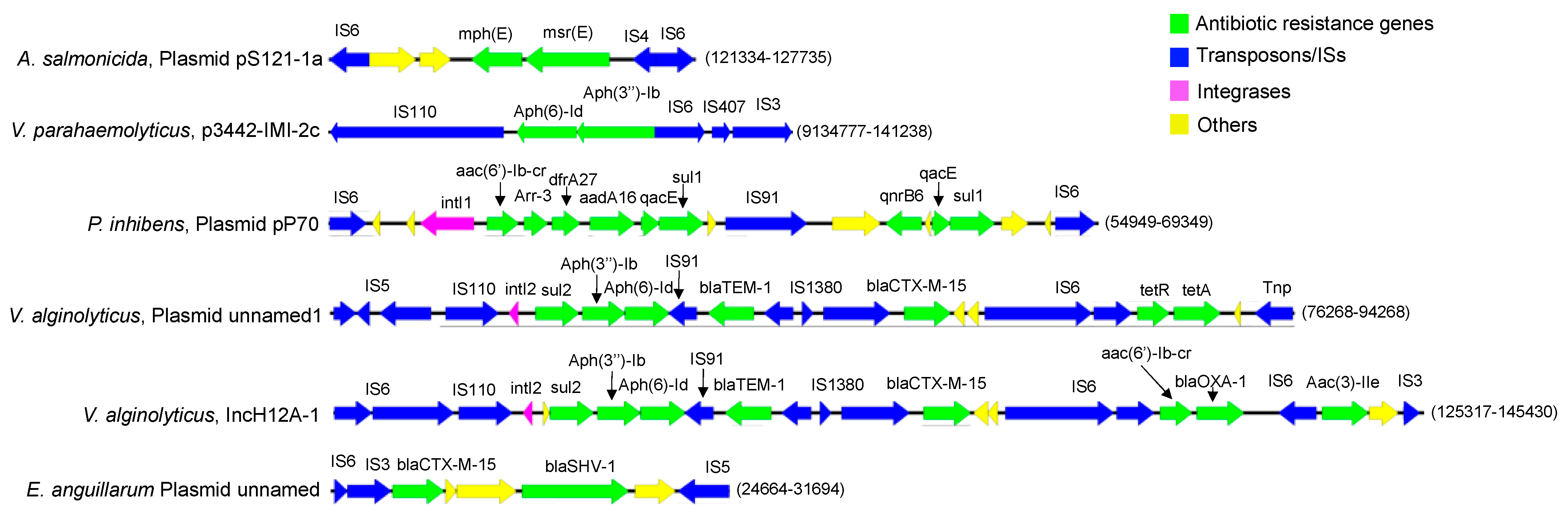 Engproc 56 00189 g004