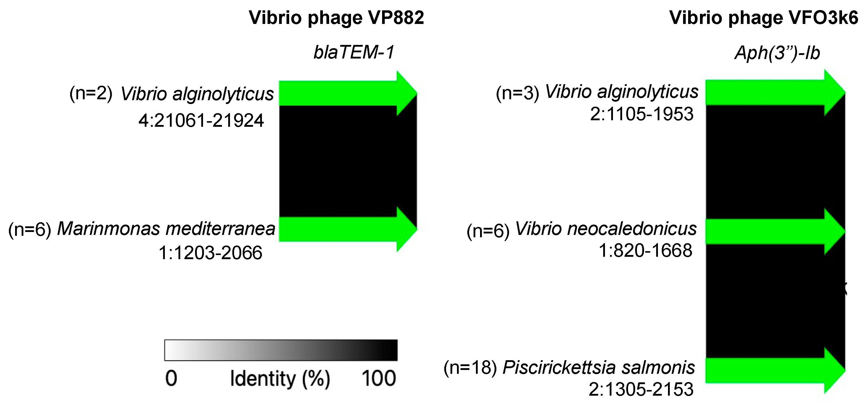 Engproc 56 00189 g005