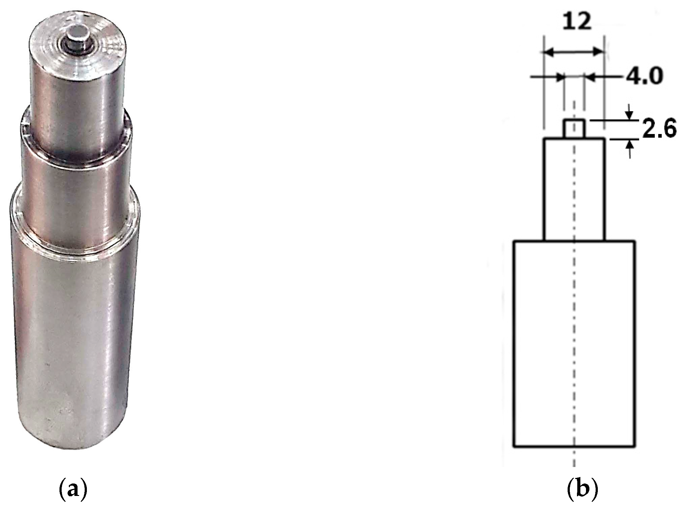 Engproc 56 00215 g002