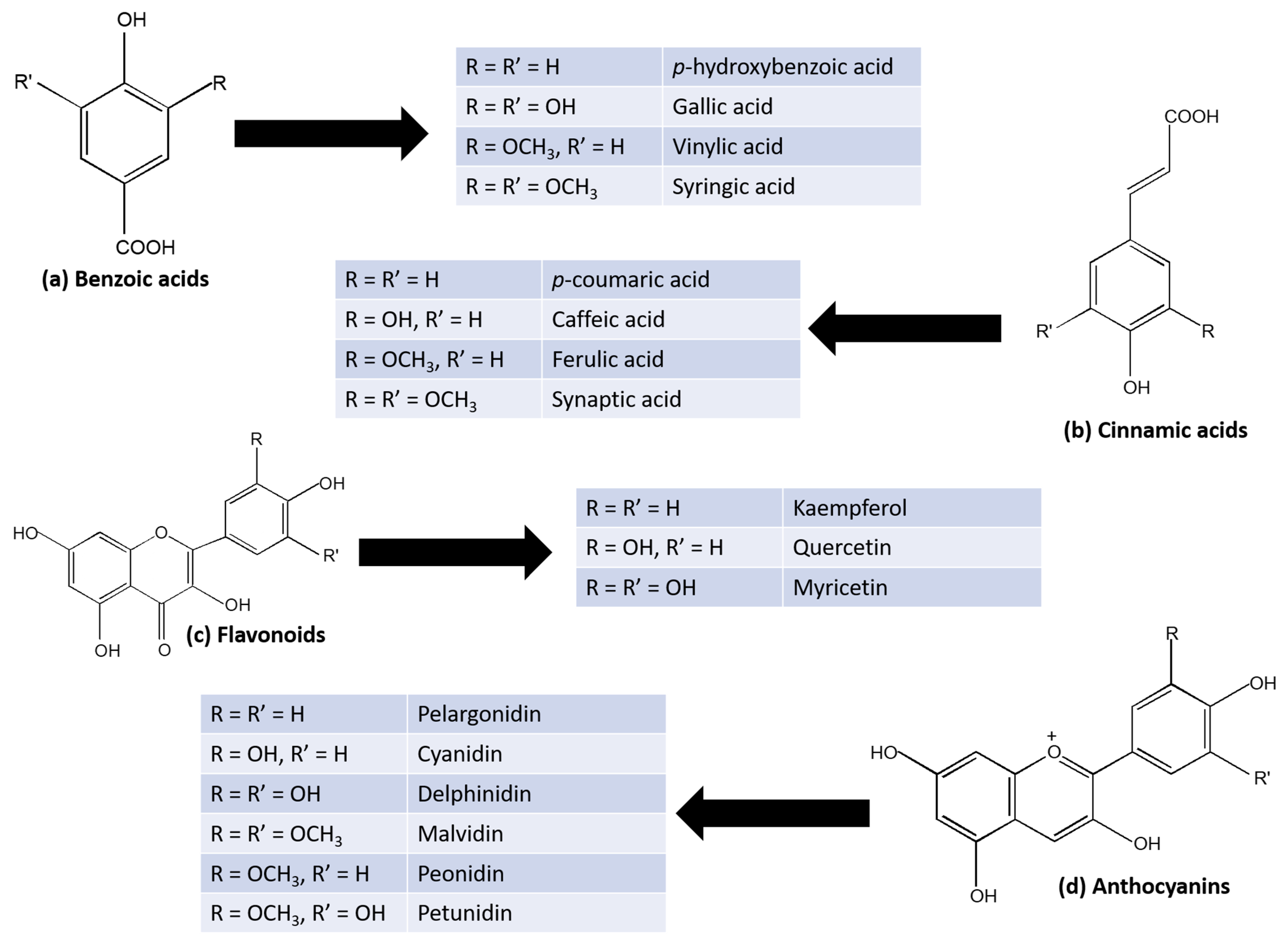 Engproc 56 00267 g001