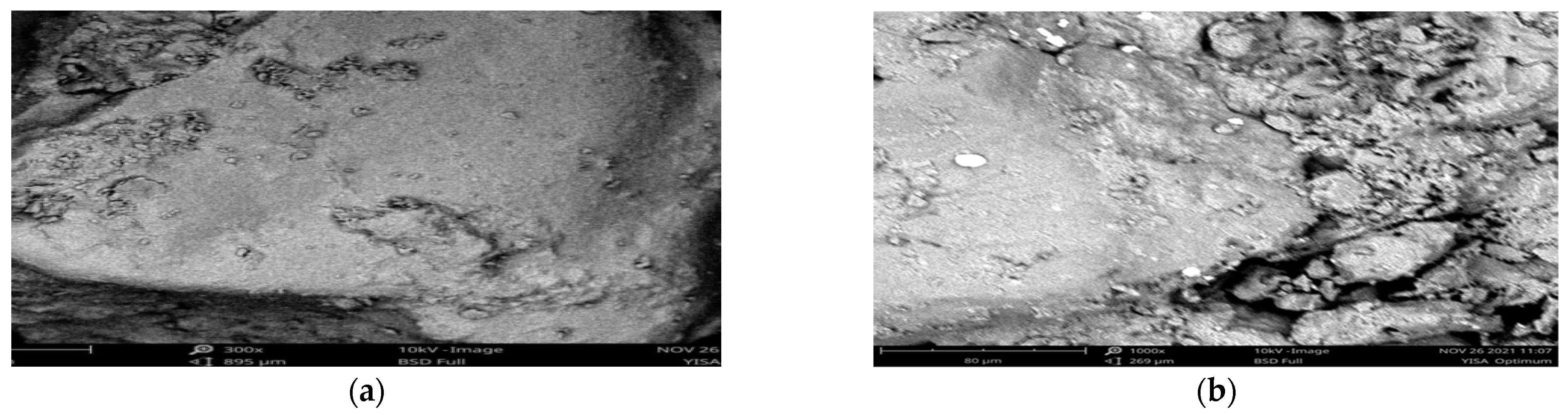 Engproc 56 00283 g006