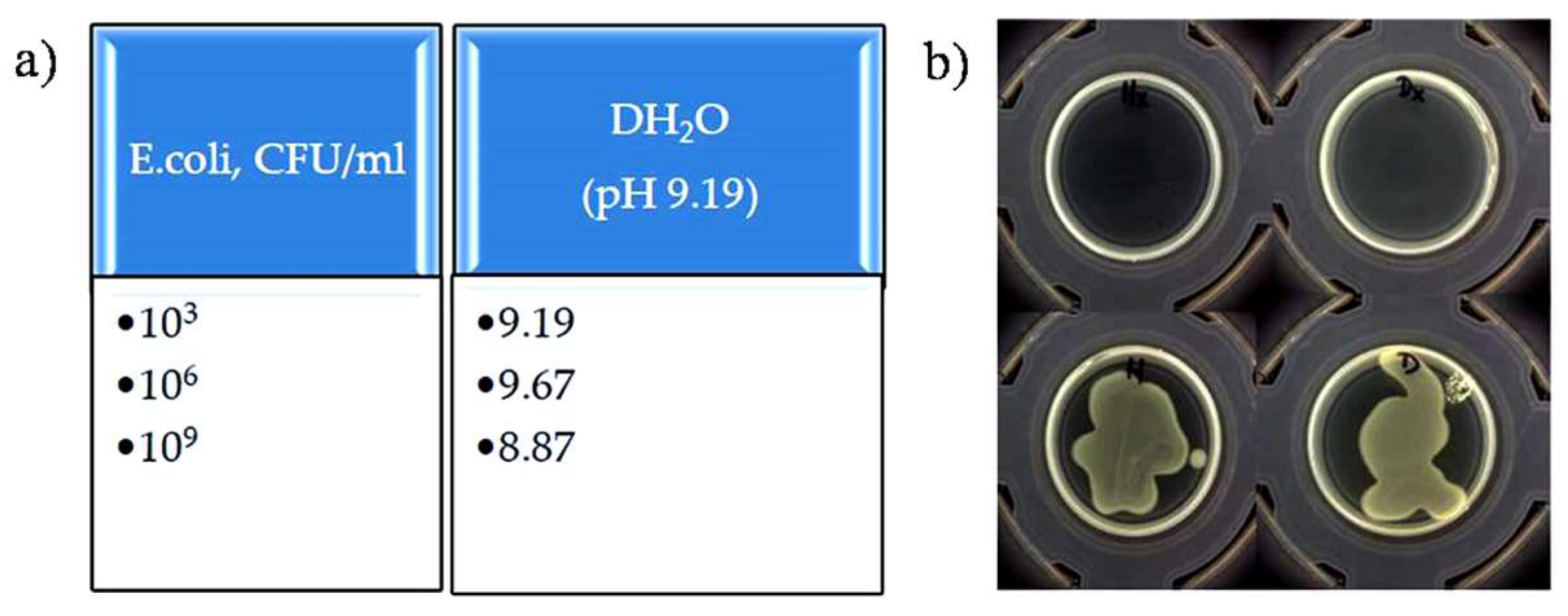 Engproc 58 00079 g002