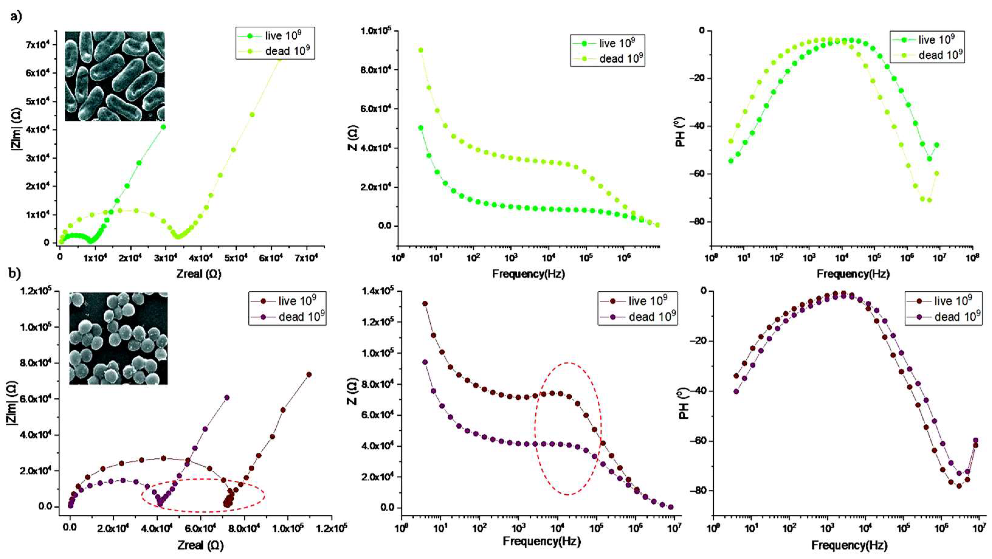 Engproc 58 00079 g005