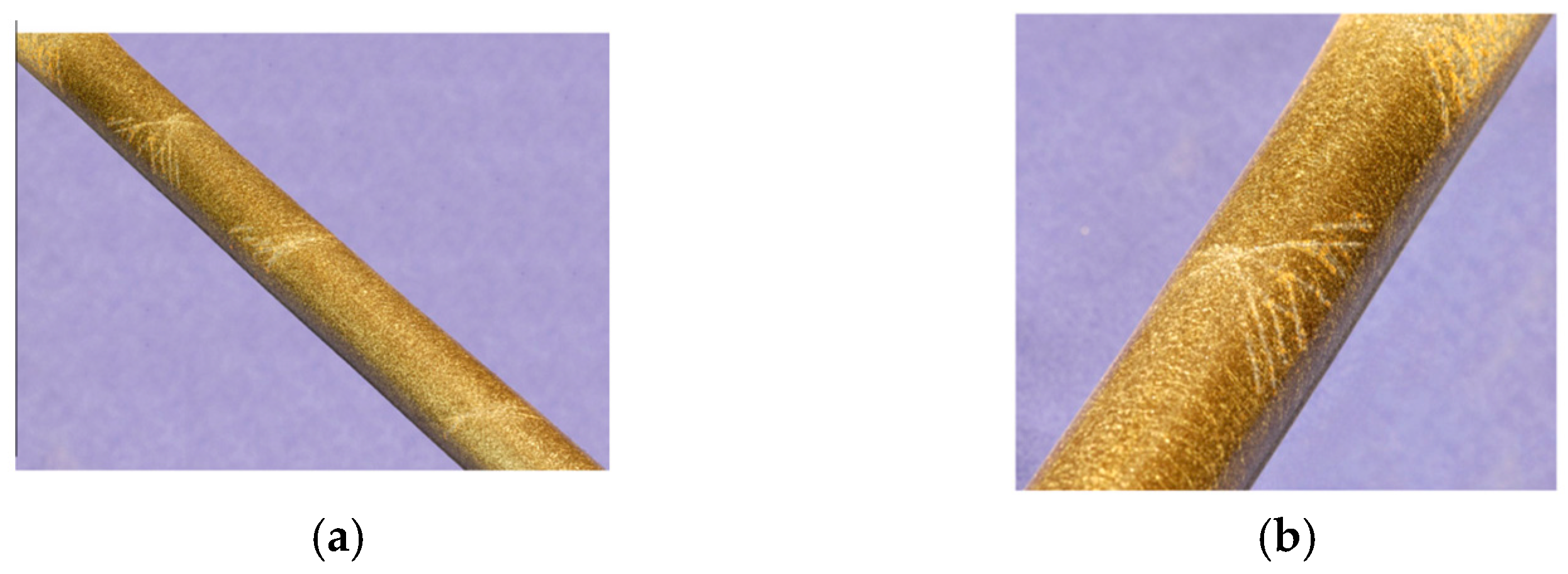 Engproc 59 00004 g001