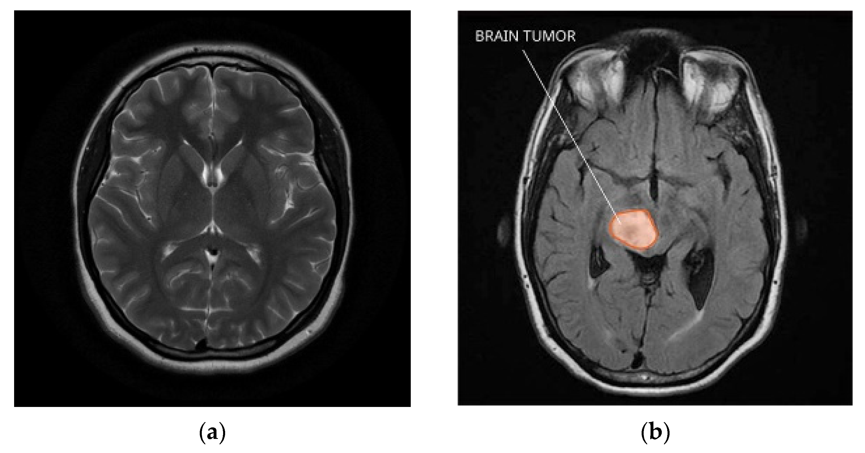 Engproc 59 00046 g001