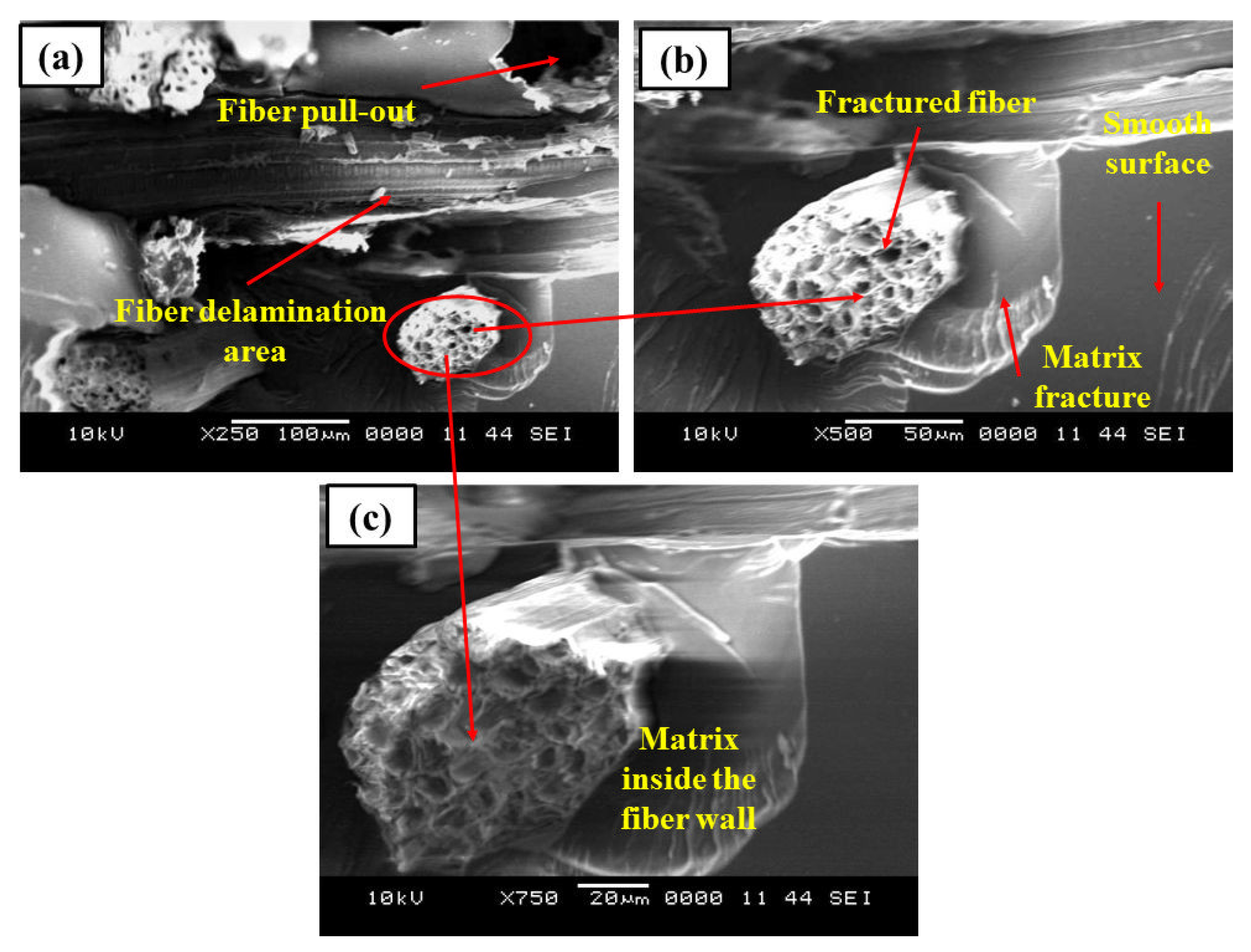 Engproc 61 00032 g006