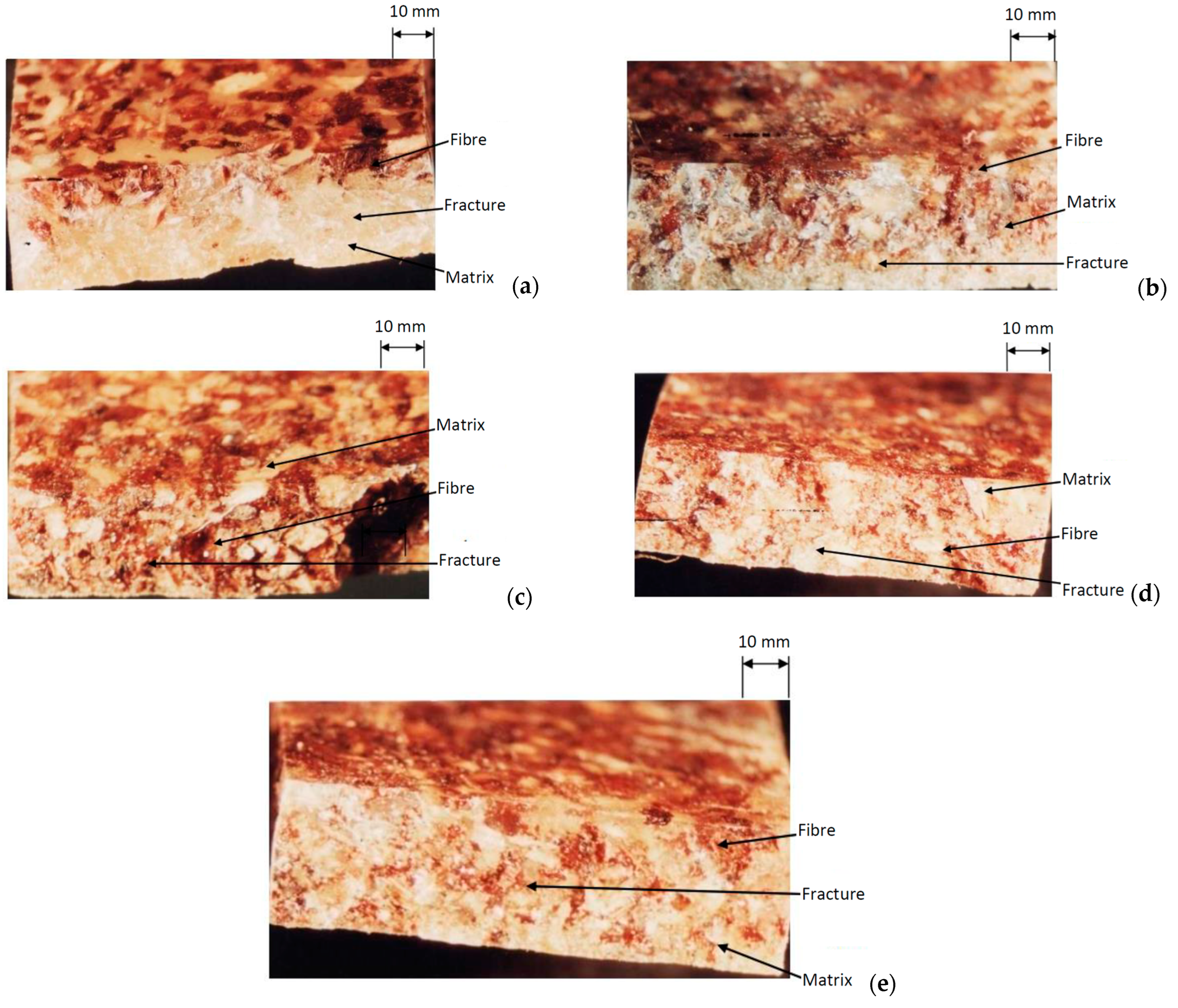 Engproc 63 00014 g007