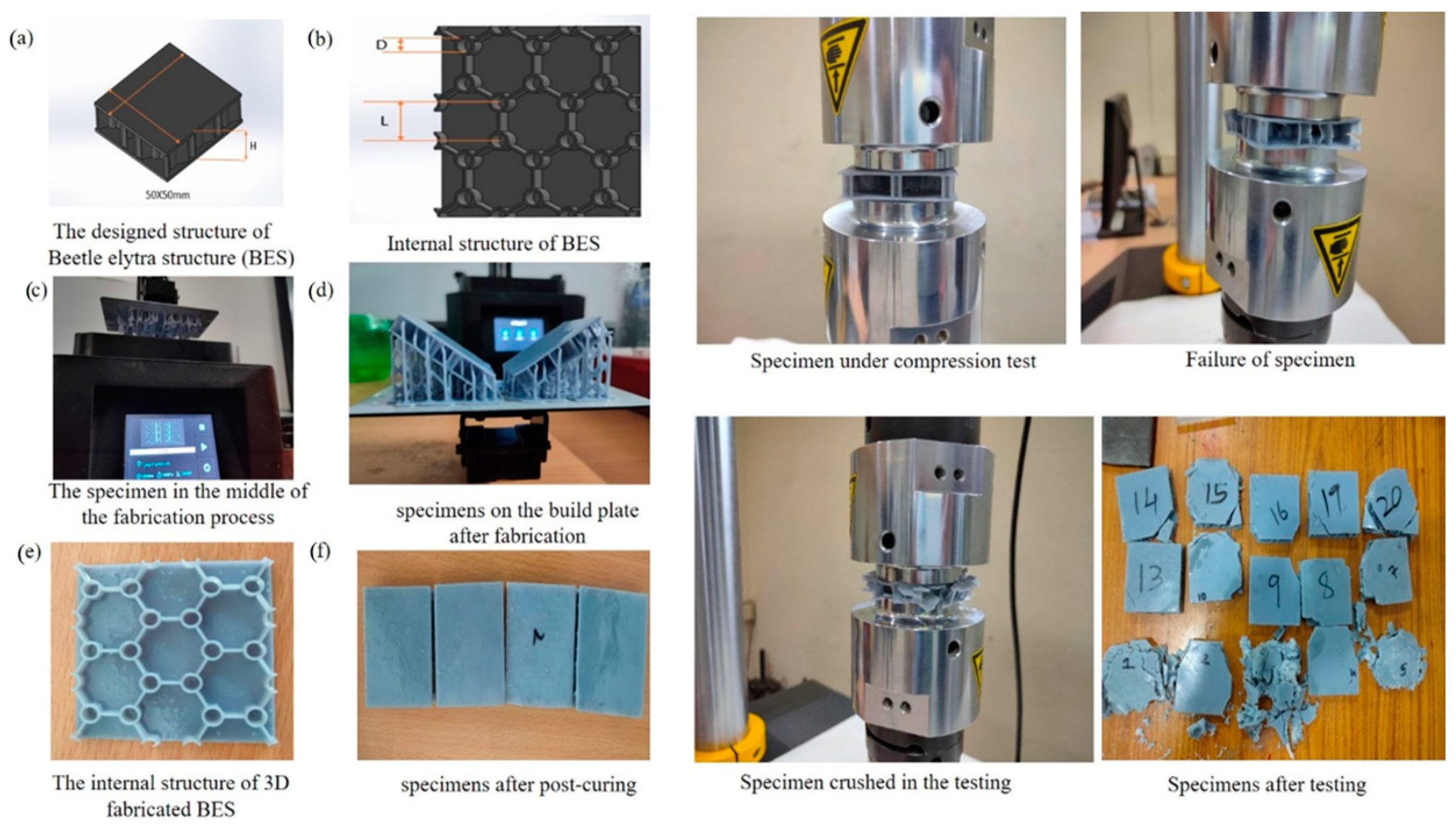 Engproc 66 00011 g002