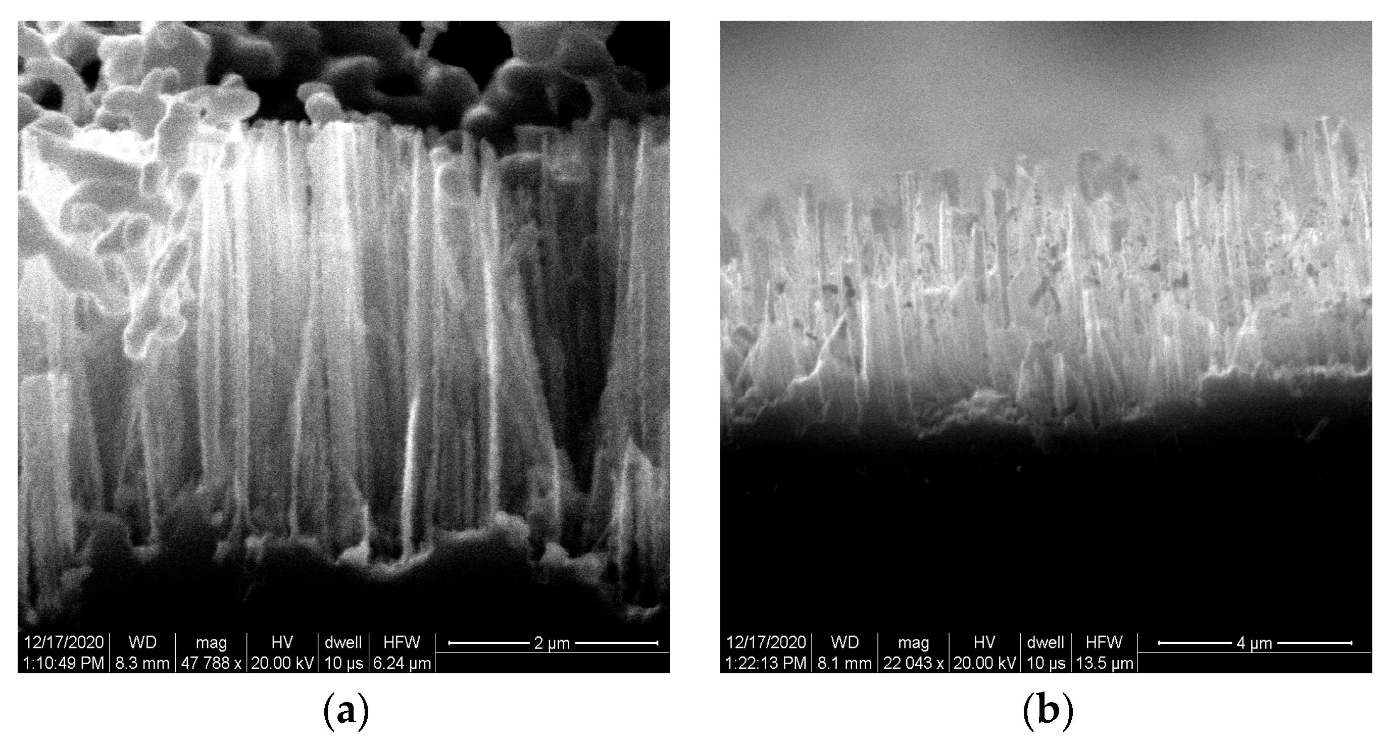 Engproc 67 00028 g001