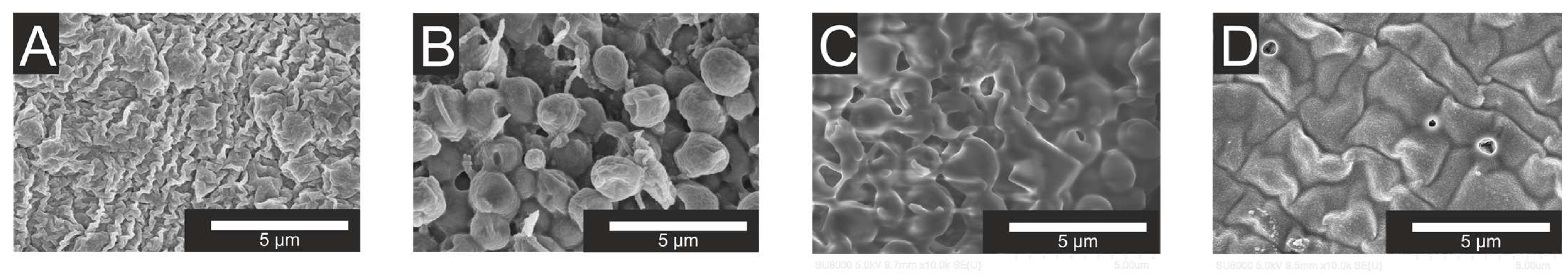 Engproc 67 00045 g004 Engproc 67 00045 g004