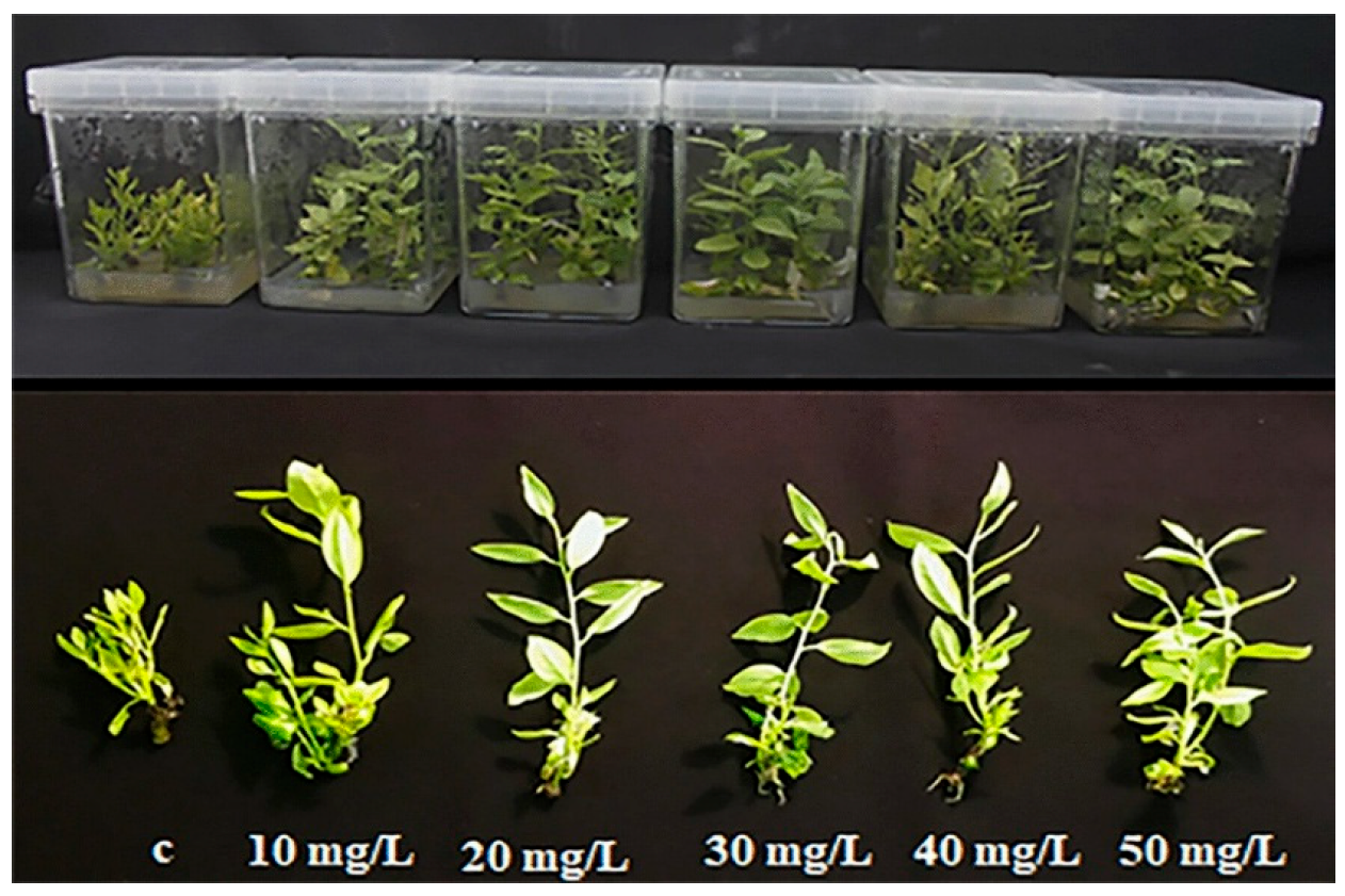 Engproc 67 00048 g003