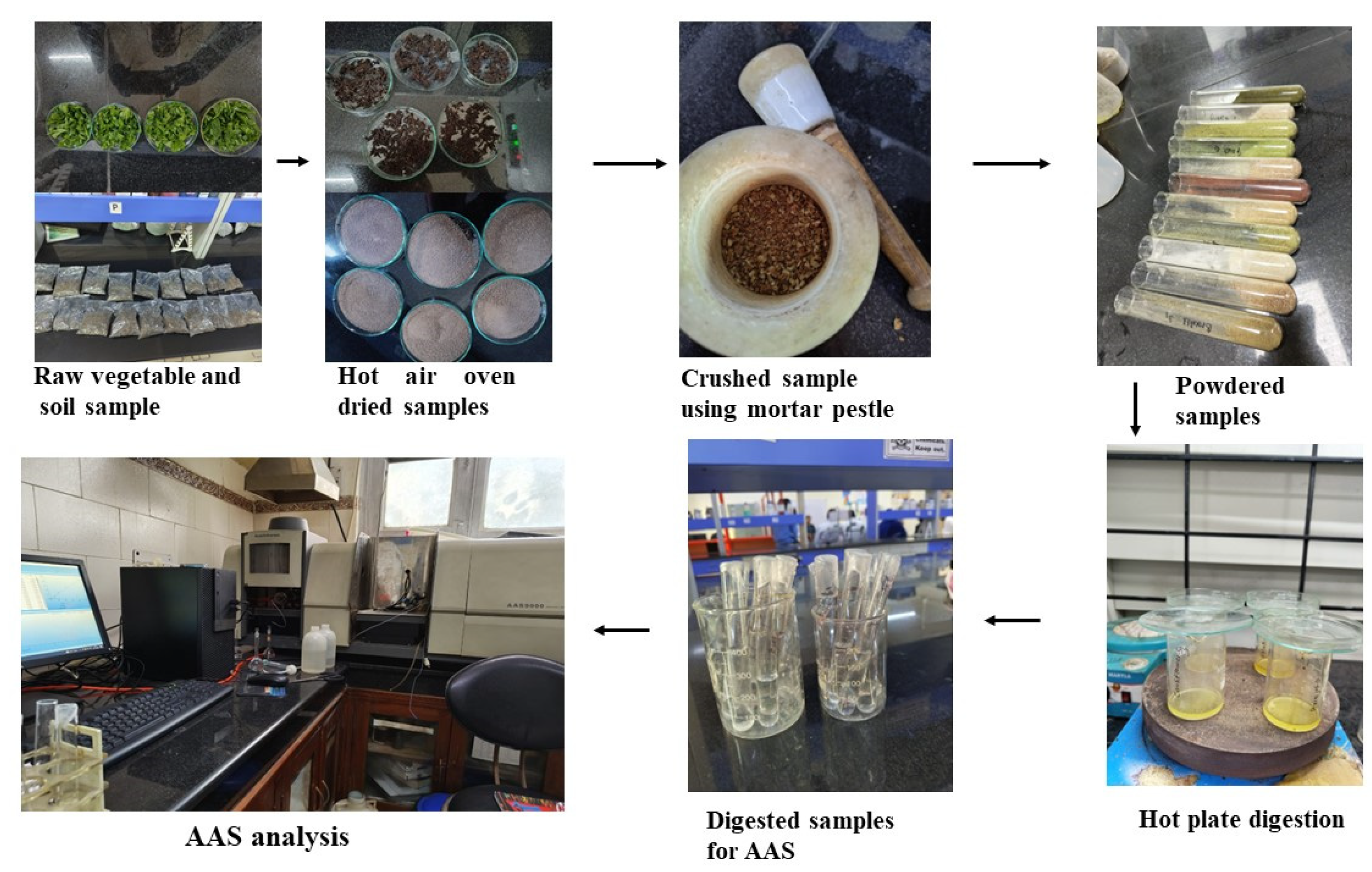 Engproc 67 00067 g001