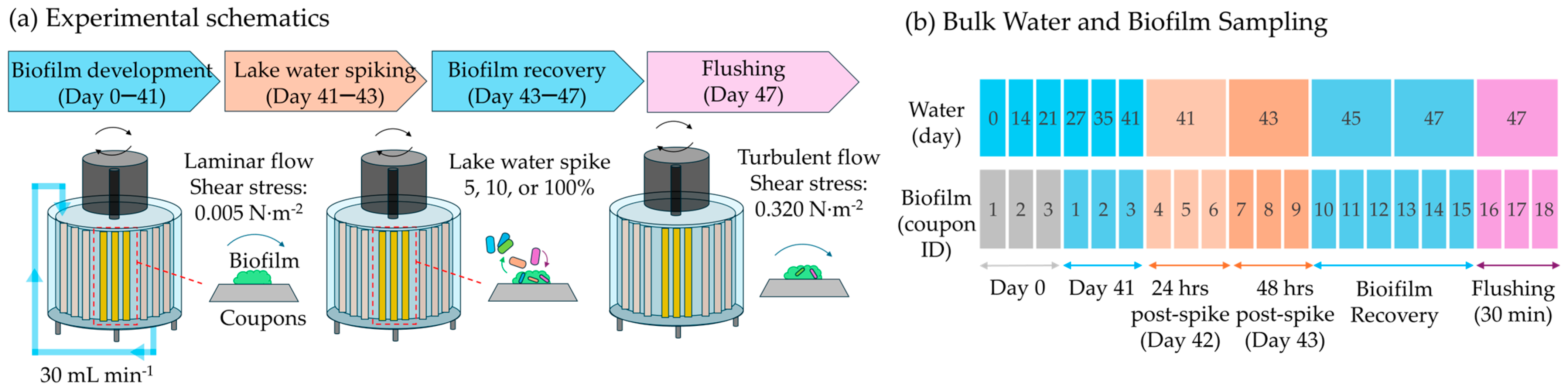 Engproc 69 00115 g001