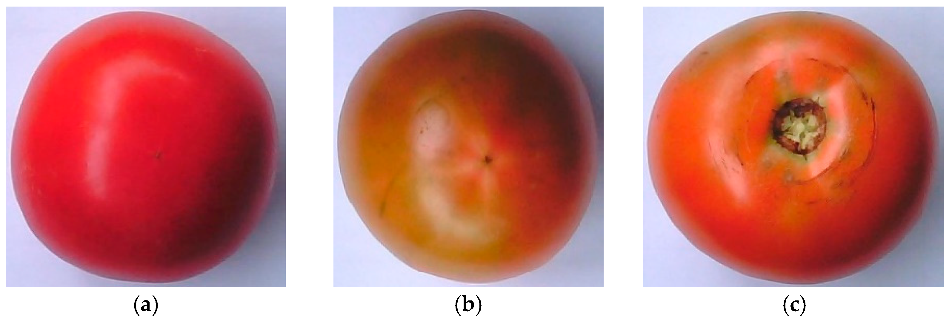 Engproc 70 00024 g001