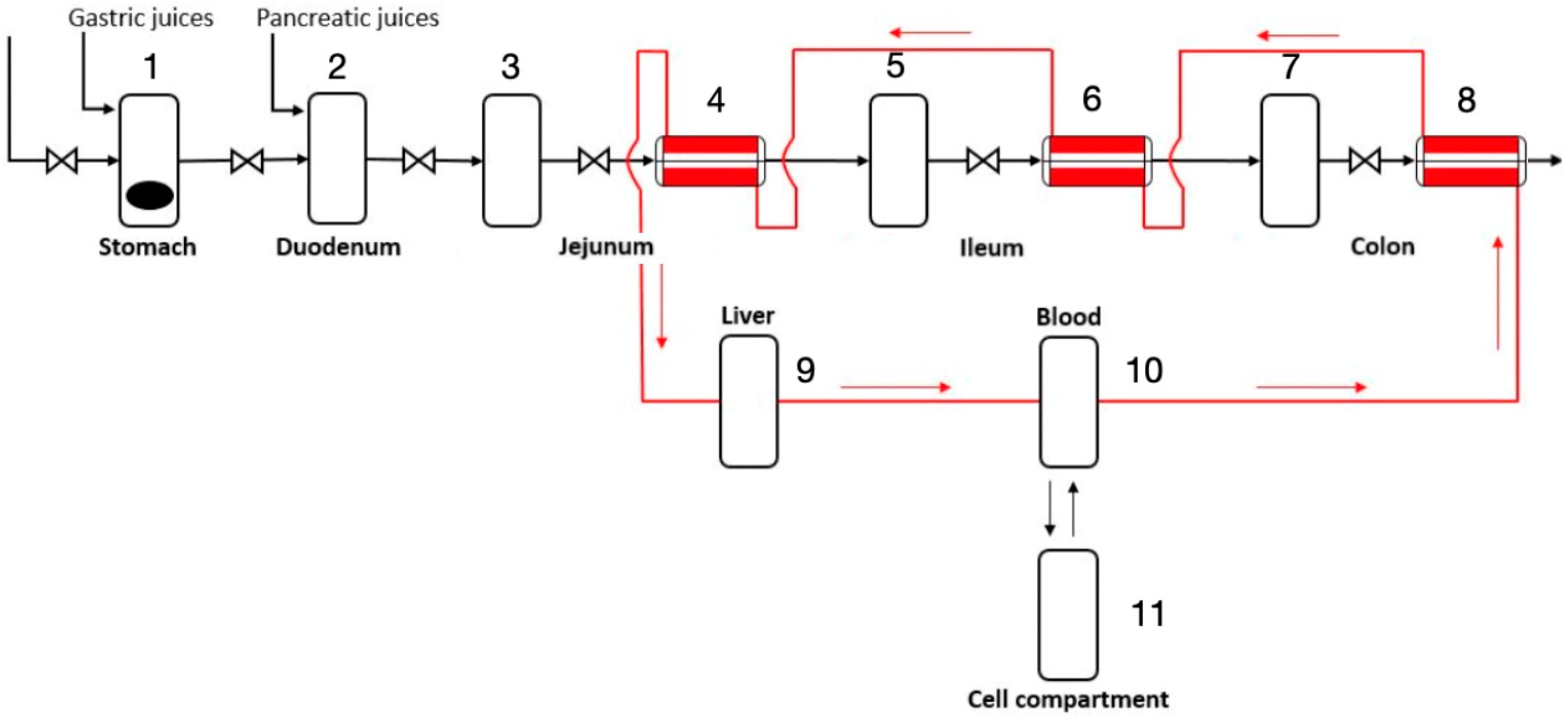 Engproc 81 00013 g001