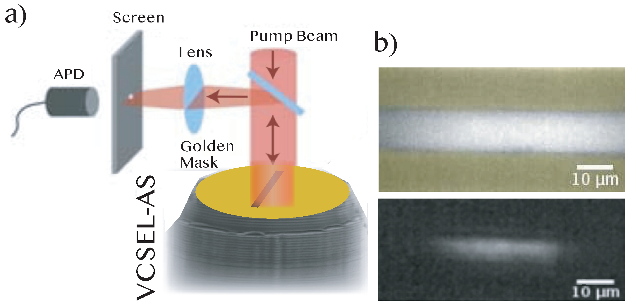 Entropy Free Full Text Alternation of Defects and Phase