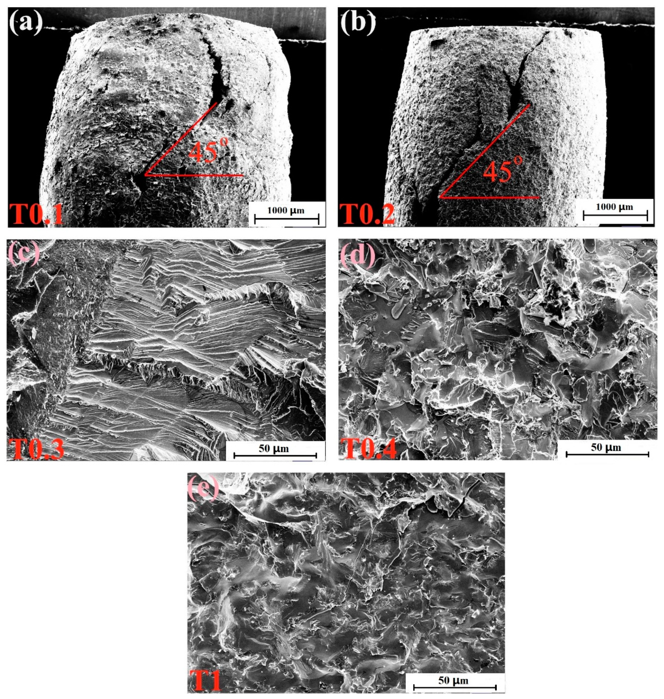 Entropy 20 00951 g005