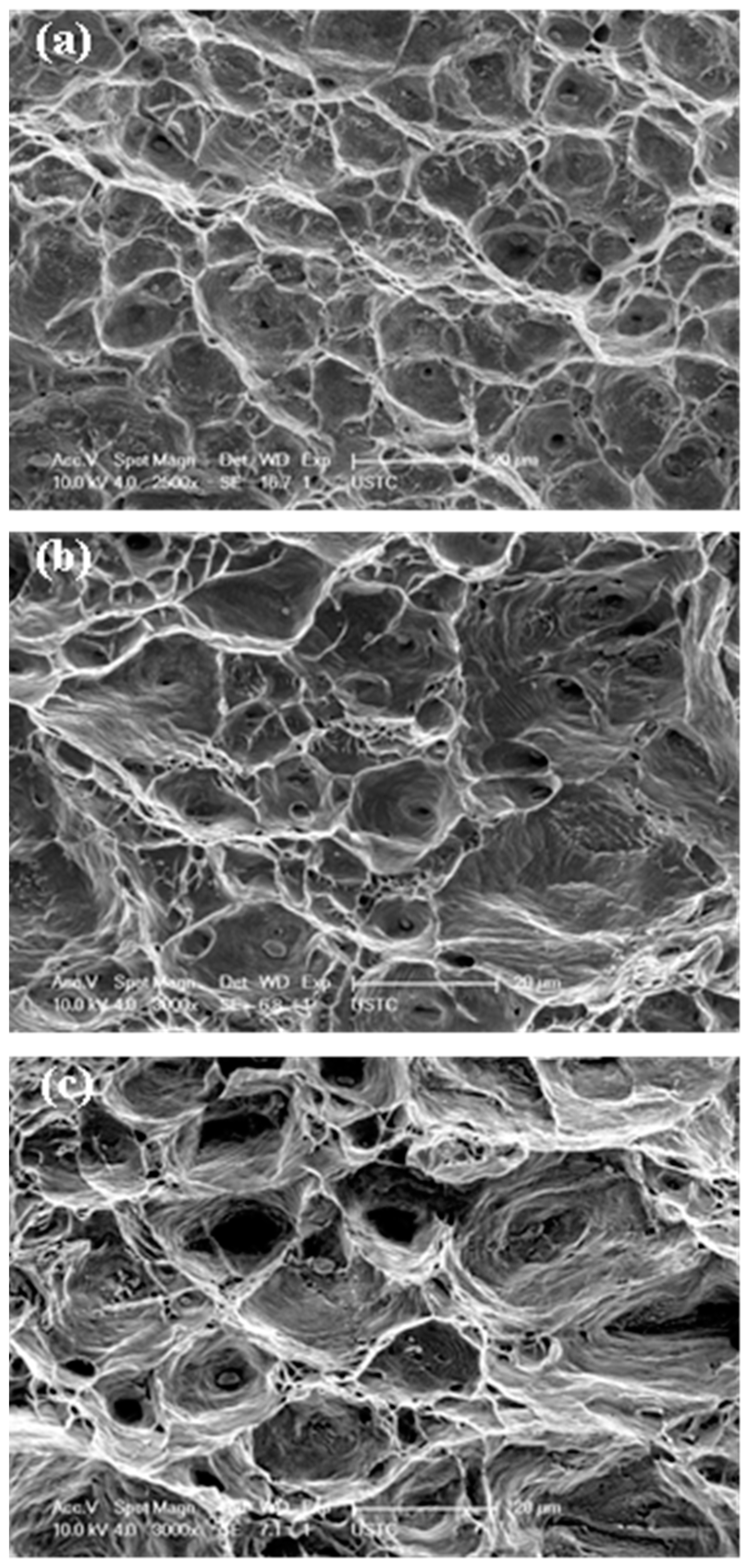 Entropy 20 00960 g010