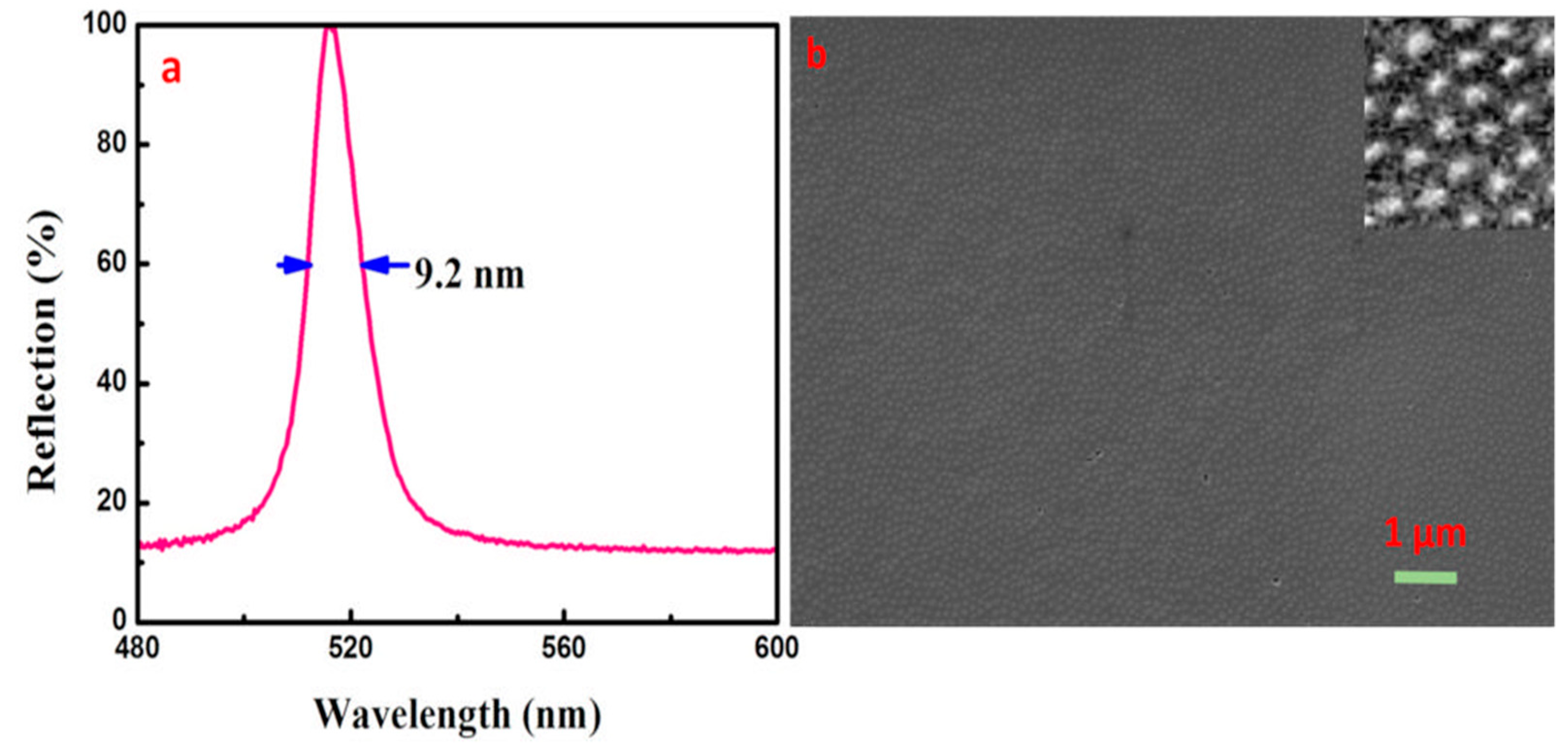 Entropy 21 00180 g008