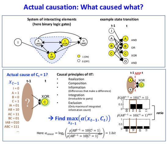 Entropy | Free Full-Text | What Caused What? A Quantitative Account of  Actual Causation Using Dynamical Causal Networks