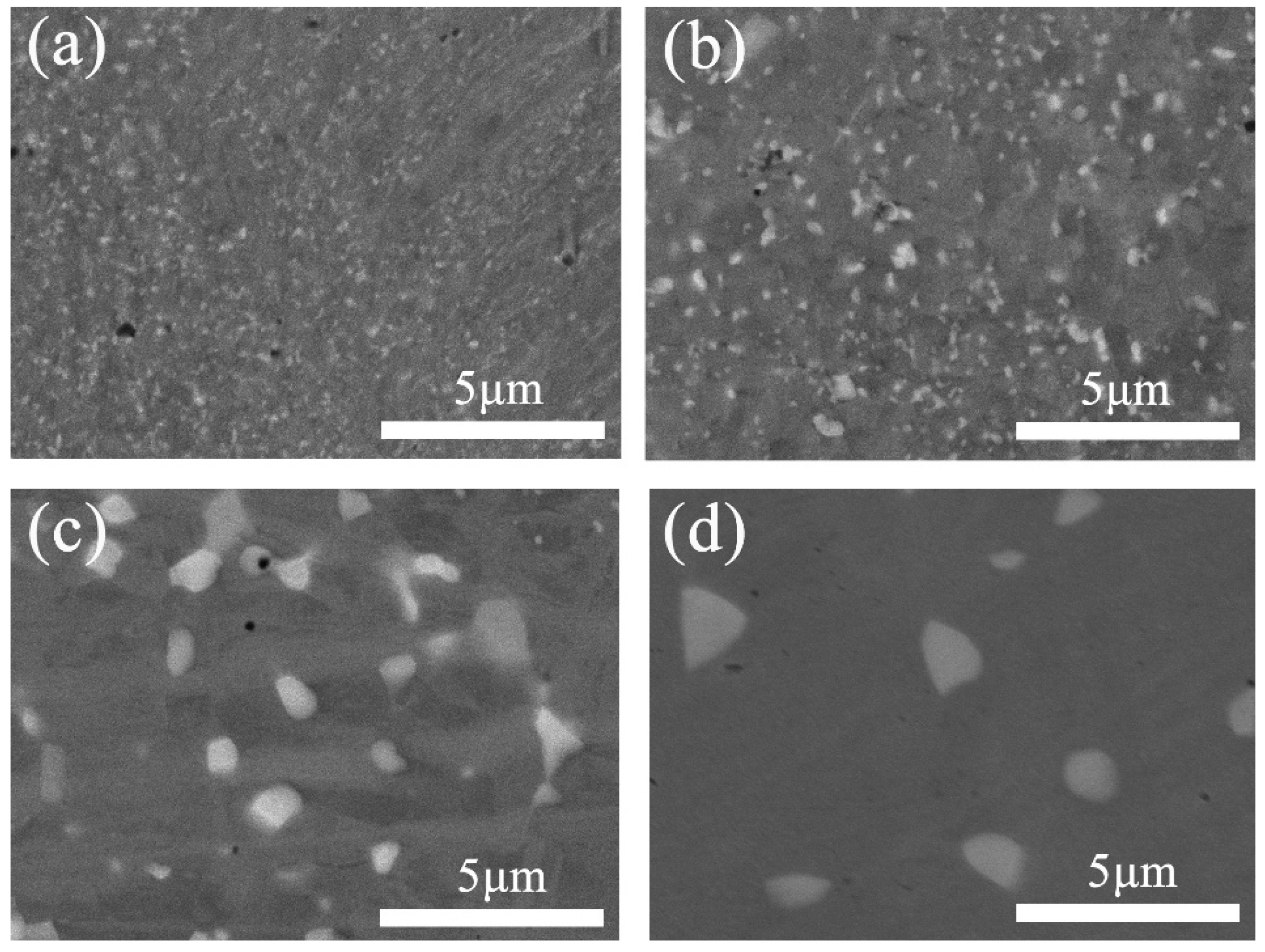 Entropy 21 00833 g003