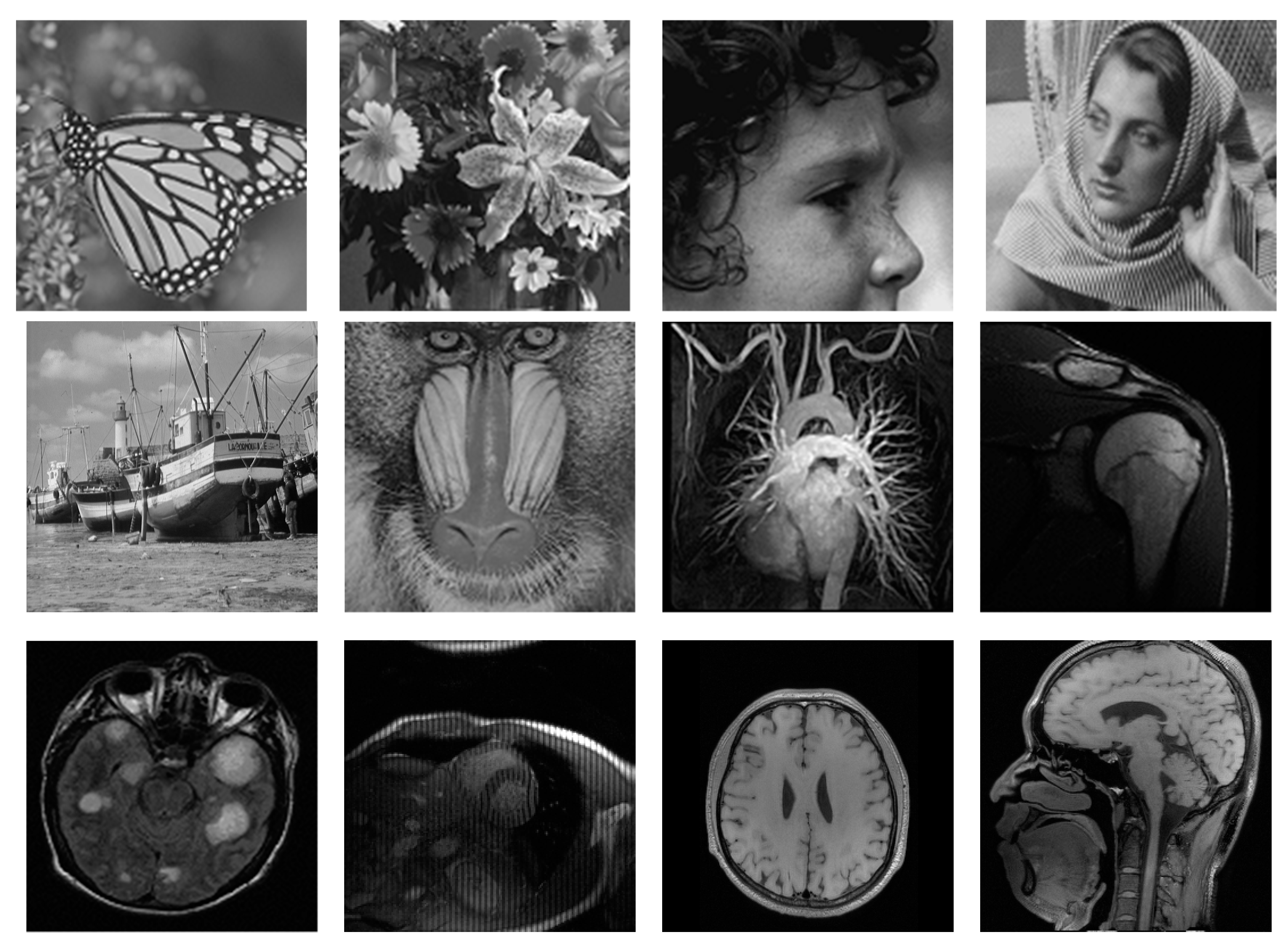 Entropy 21 00900 g003 Entropy 21 00900 g003
