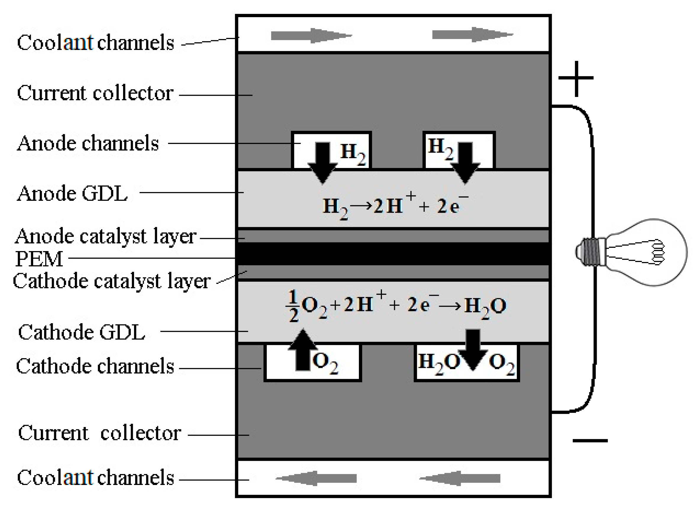 Entropy 22 00176 g001