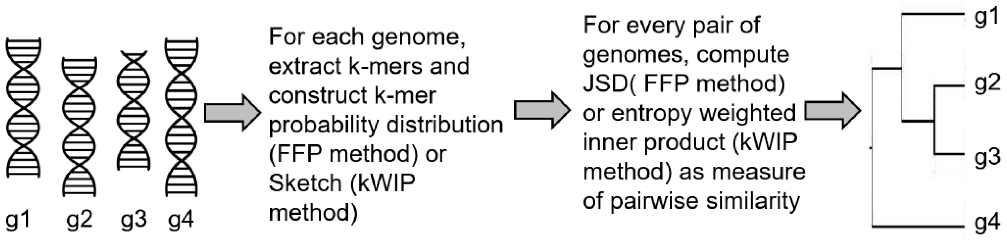 Entropy 22 00627 g002 Entropy 22 00627 g002