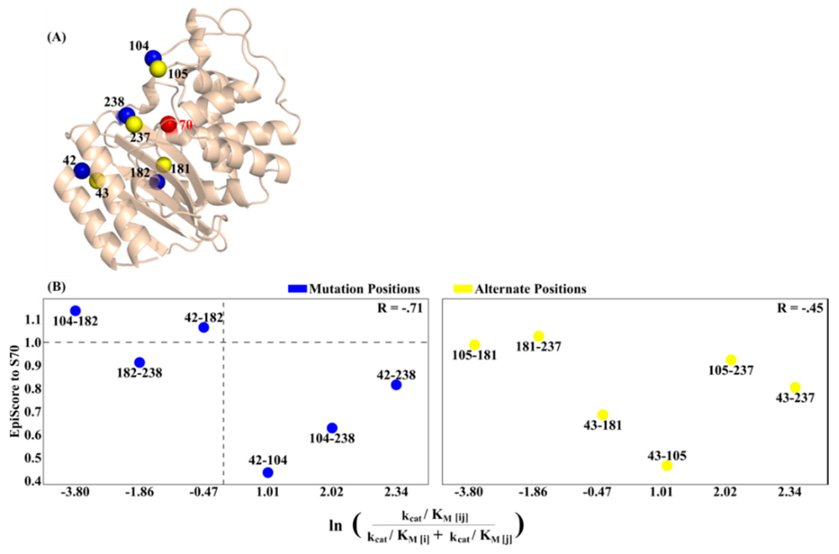 Entropy 22 00667 g006