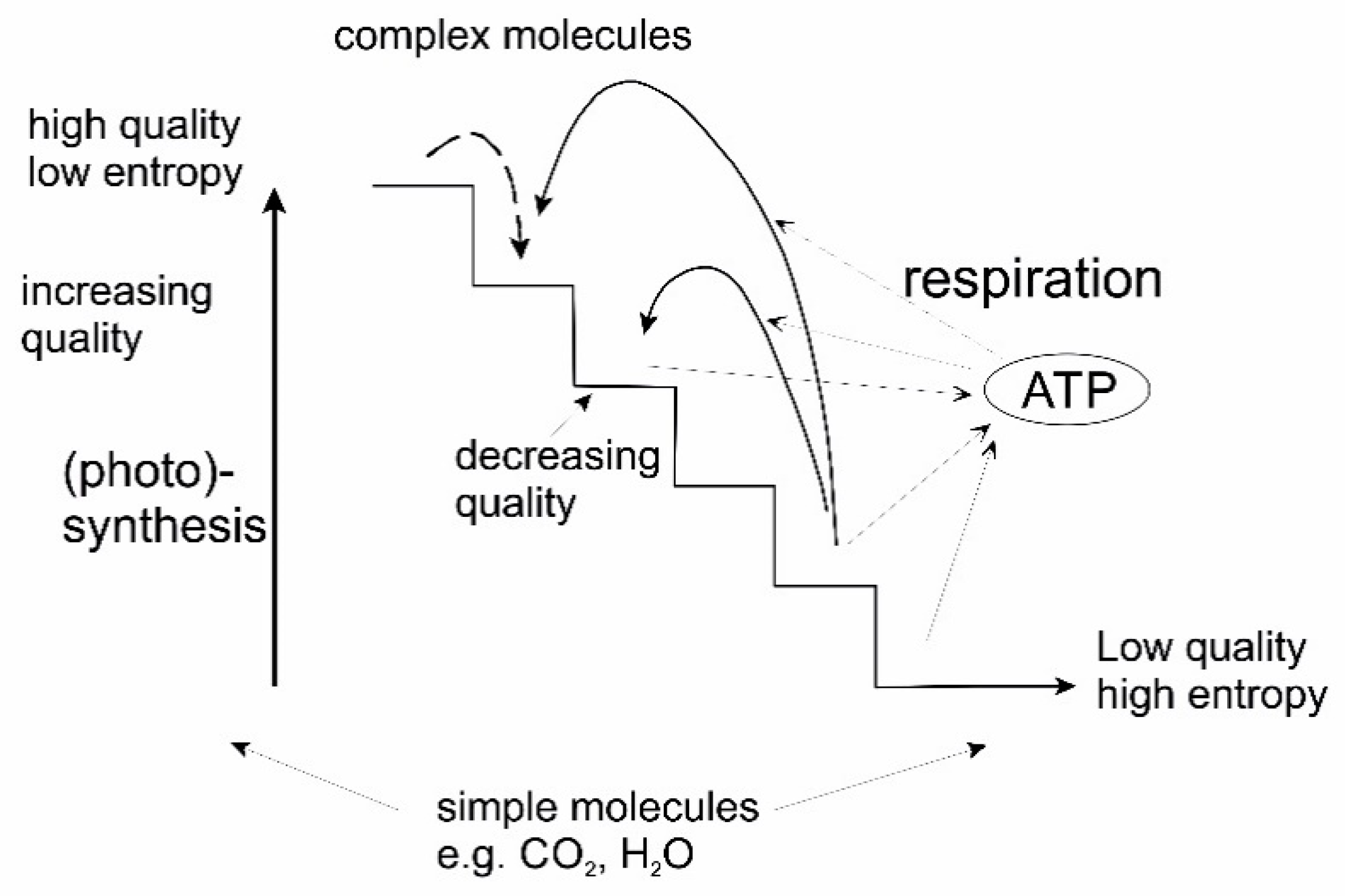 Entropy 22 00820 g008 Entropy 22 00820 g008